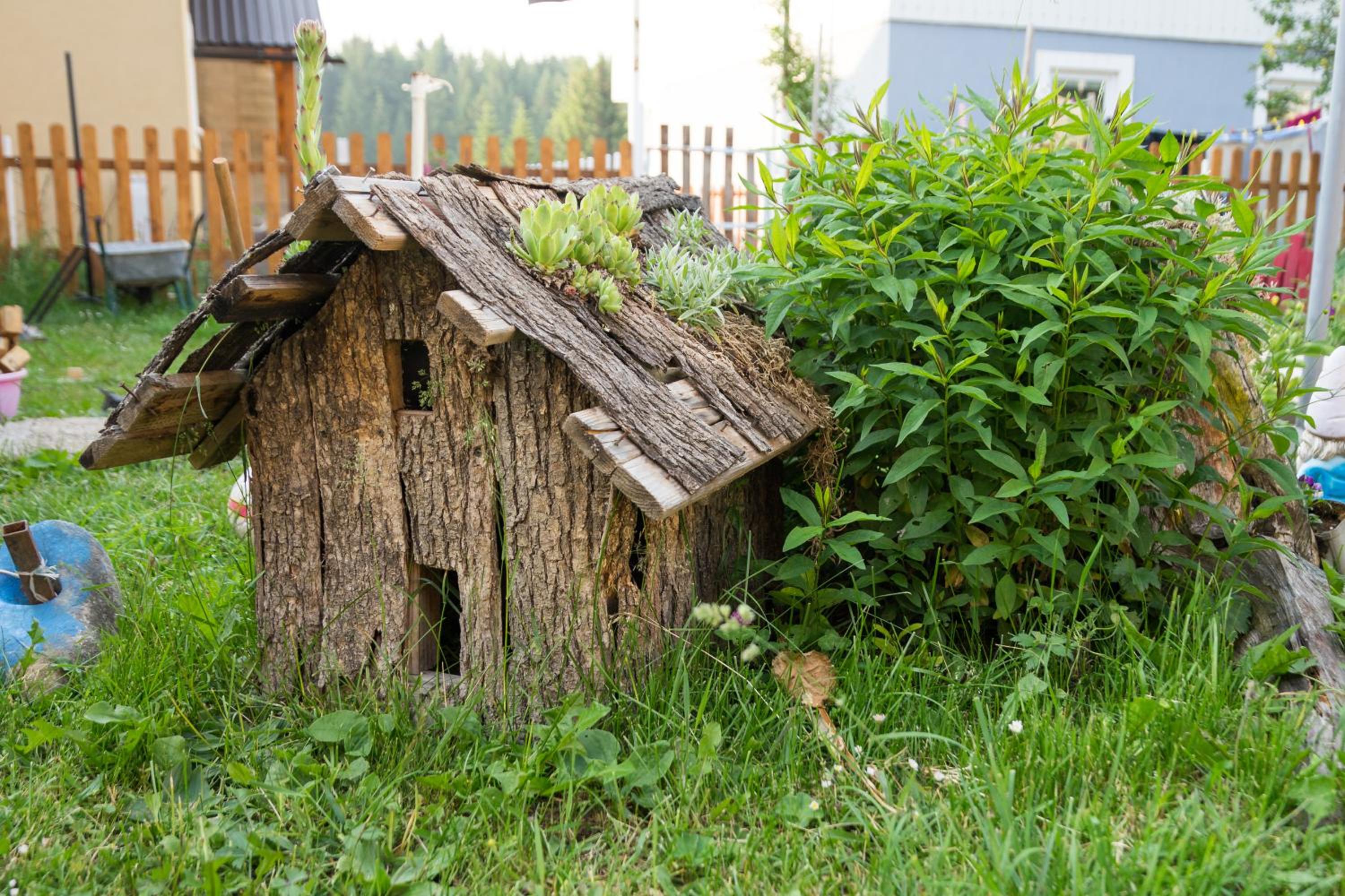 Photo 21
