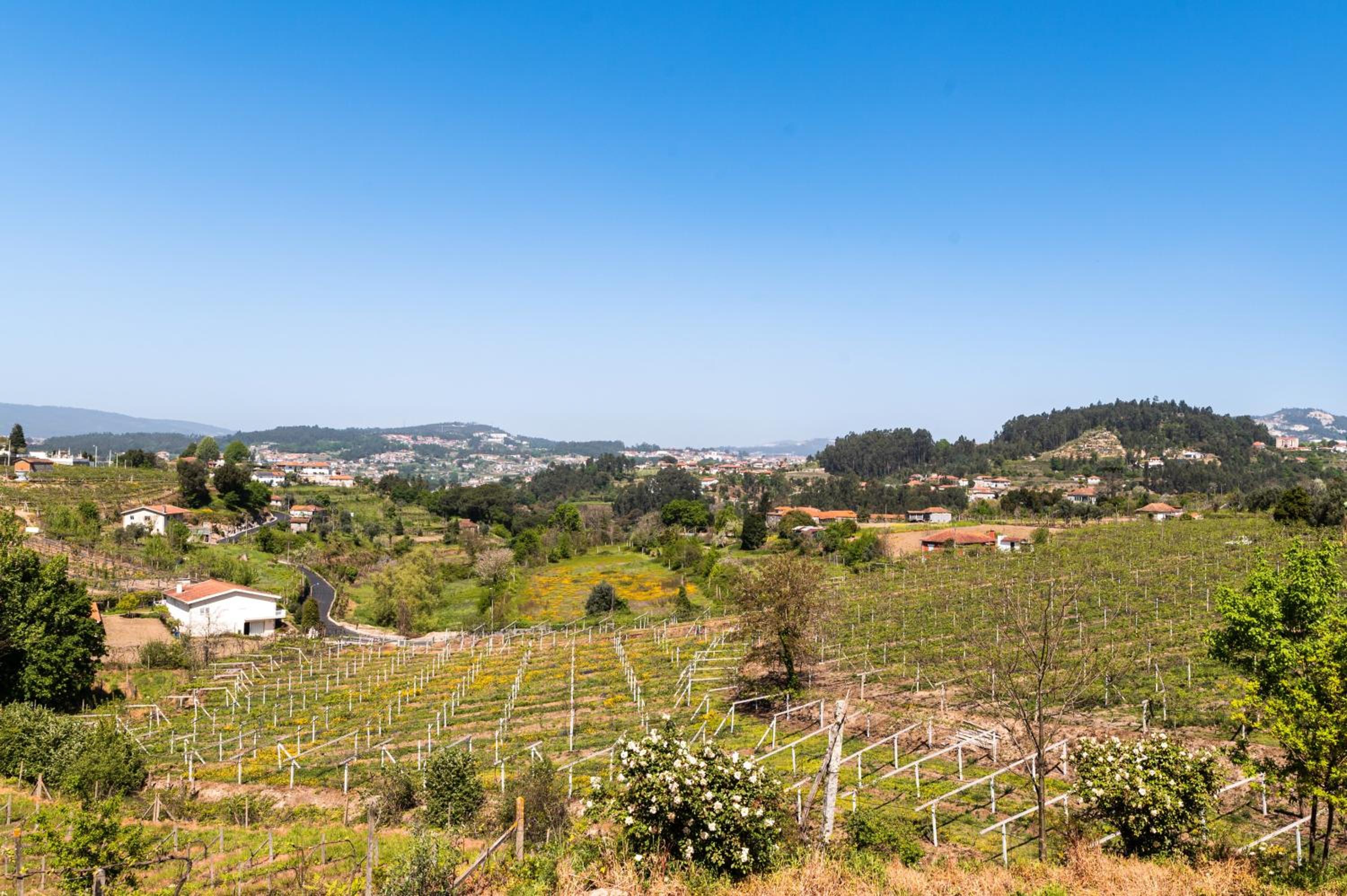 Charming House Fornos + Pool view 5