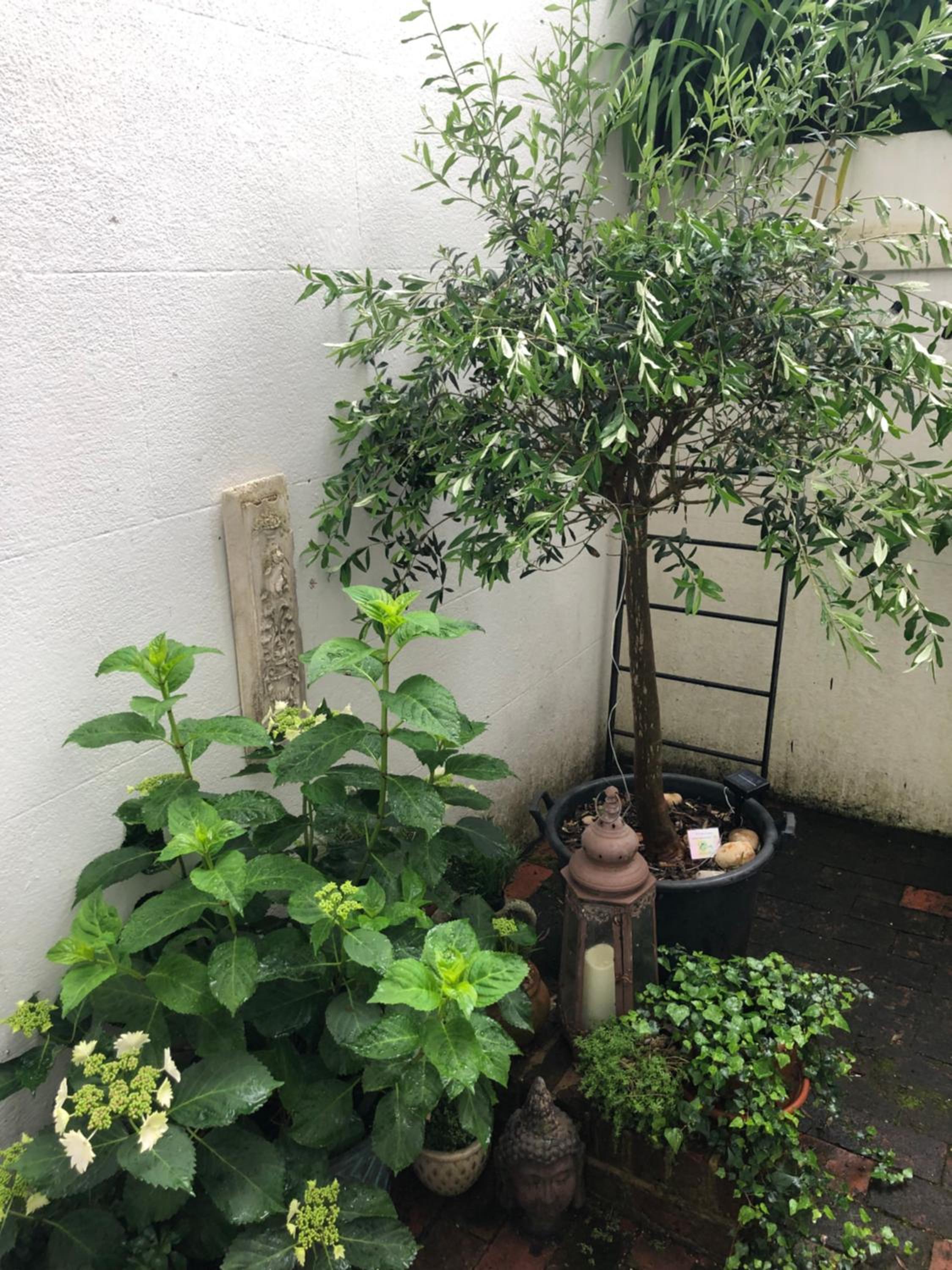 Photo 23