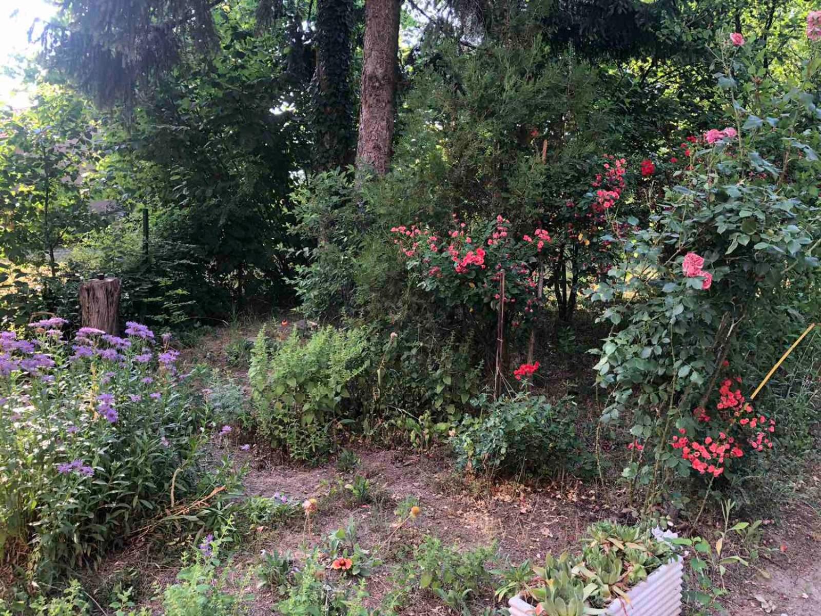Photo 32