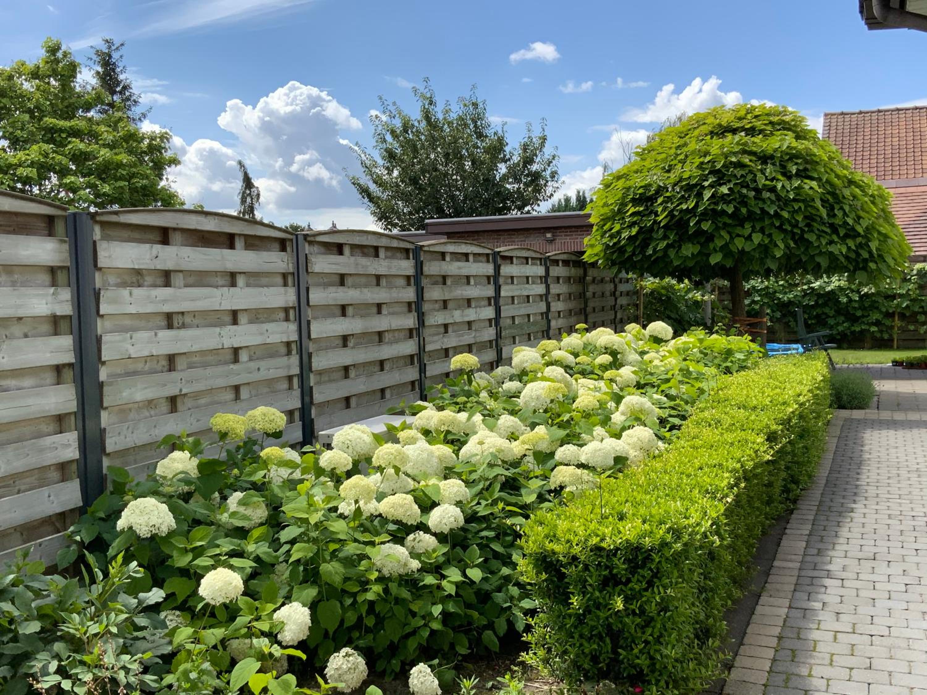 LinZn vakantiehuis