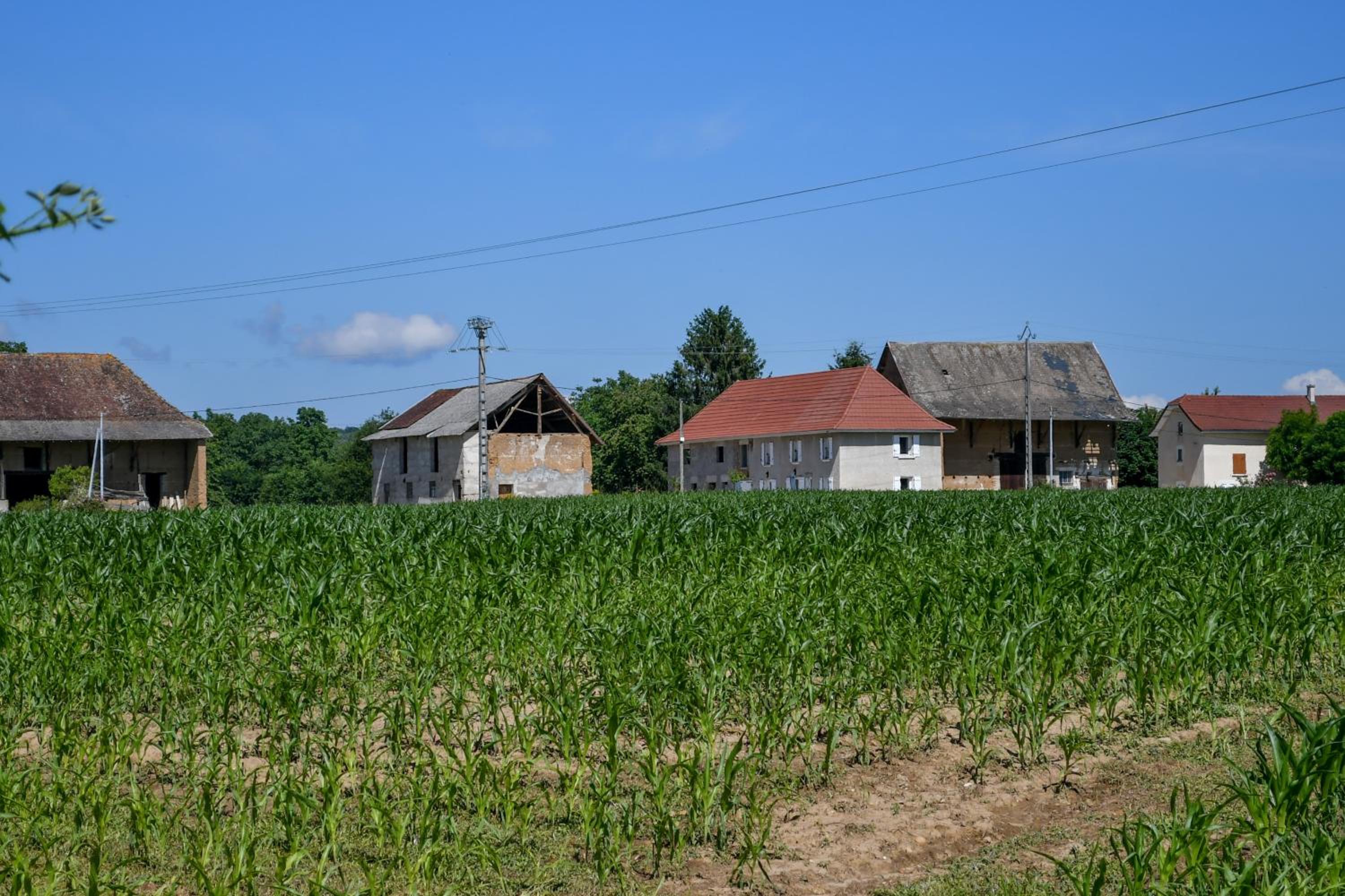 Photo 7
