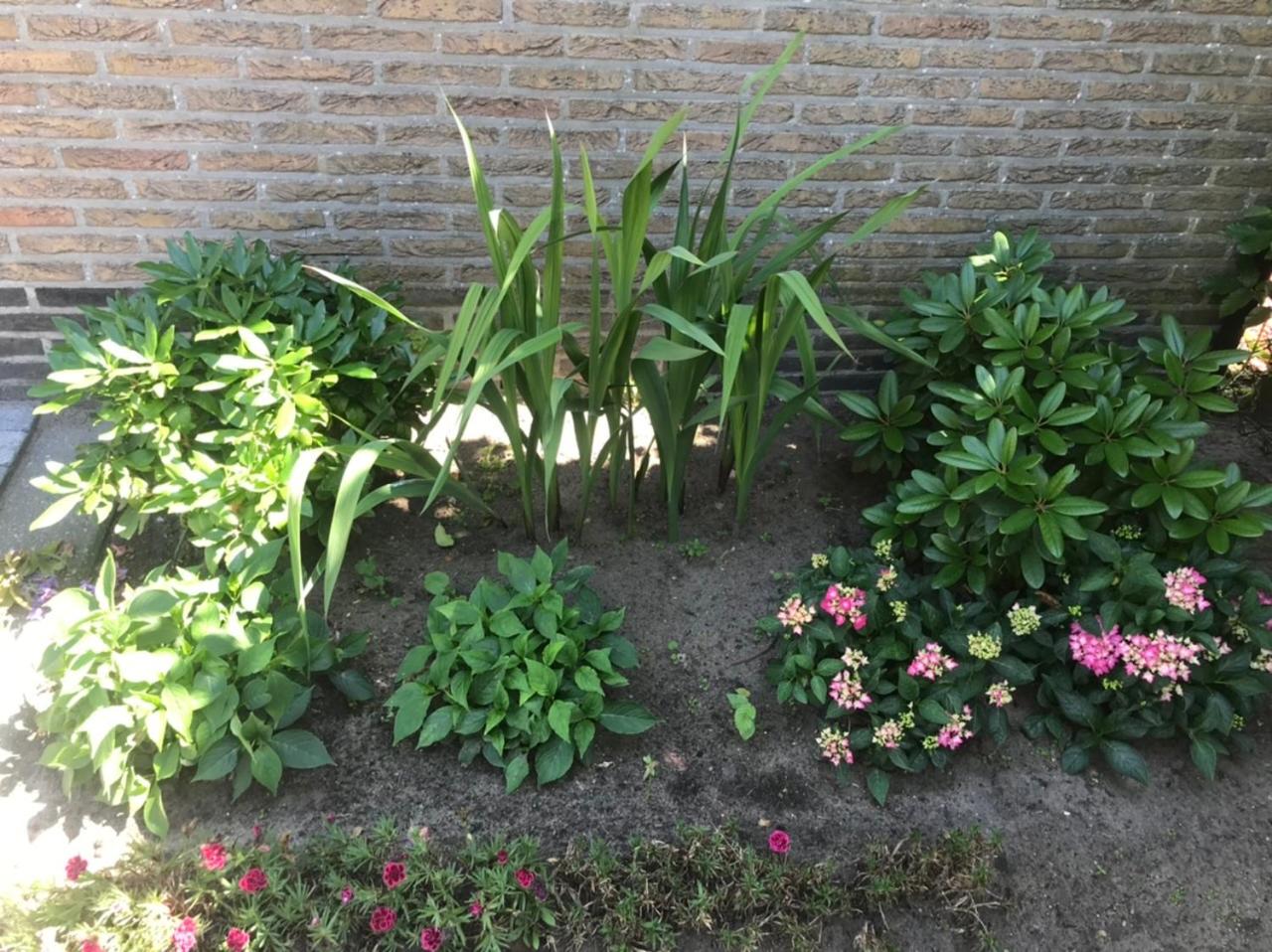 LinZn vakantiehuis