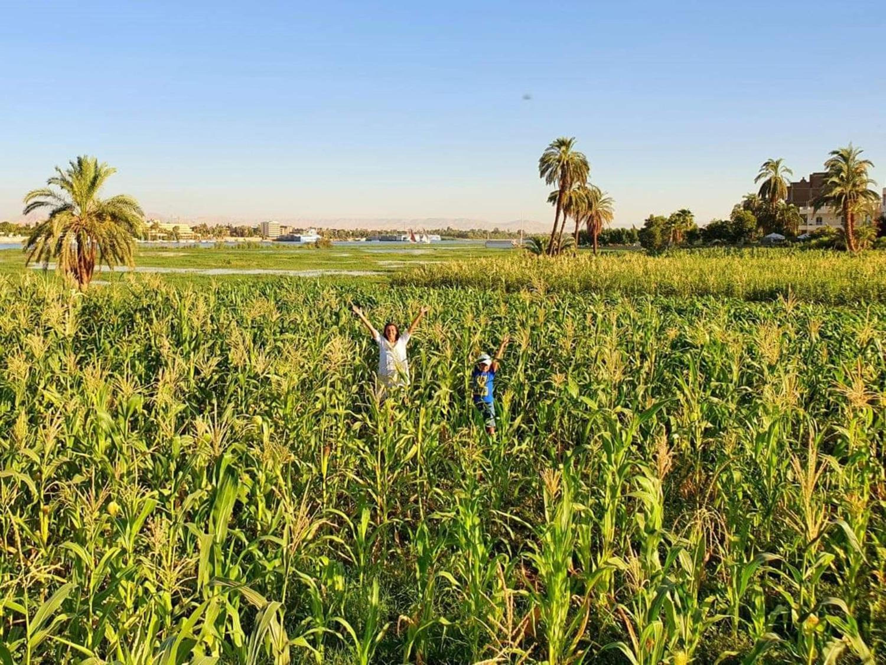 Nile Compound