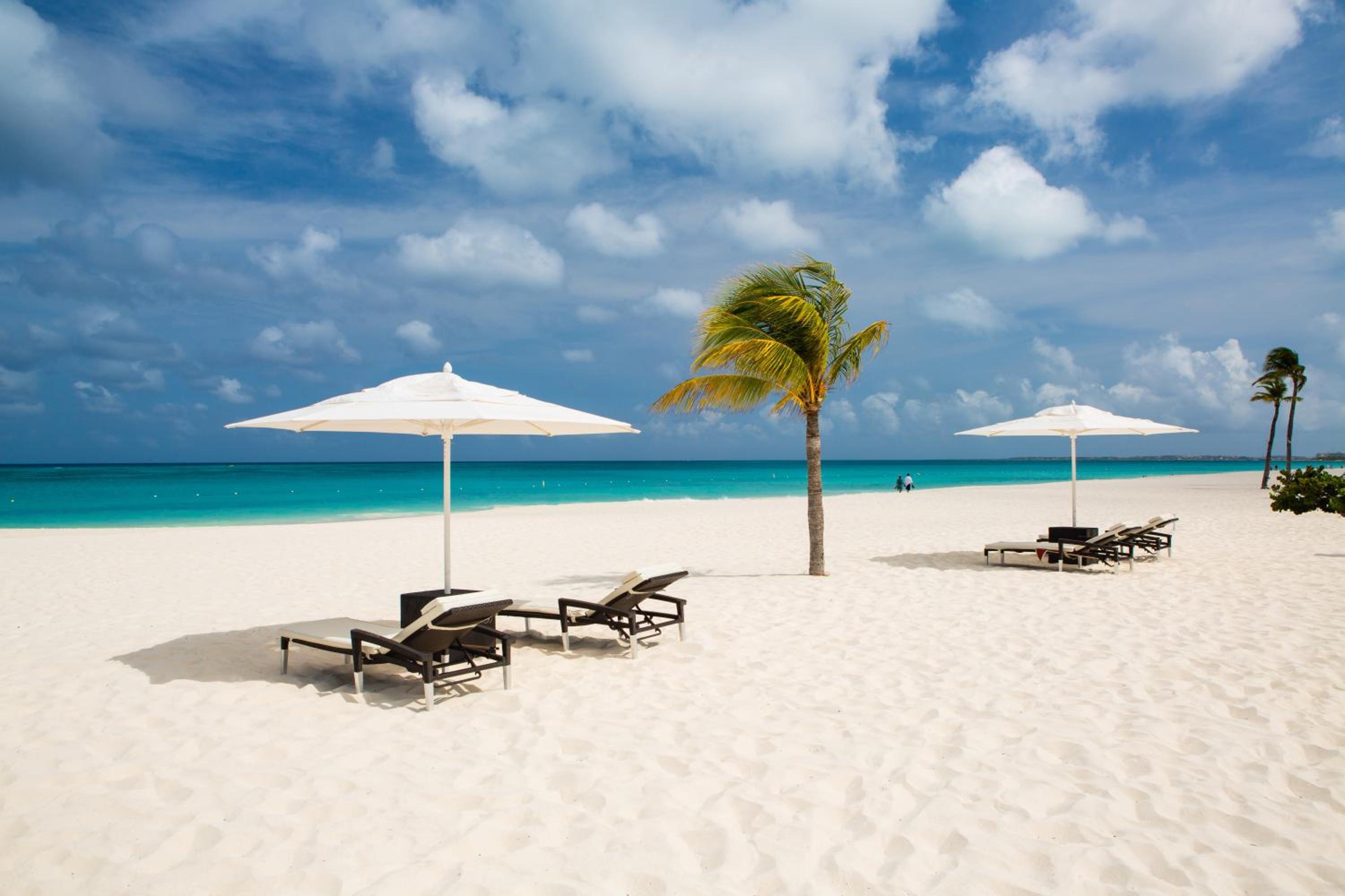 Aruba Vacations - Bucuti  Tara Boutique Beach Resort - Adult Only - Property Image 2