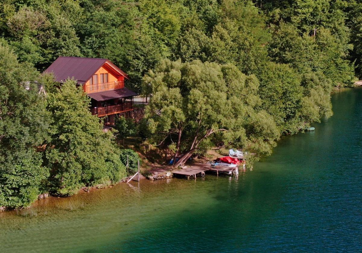 Forest Dream Lake House