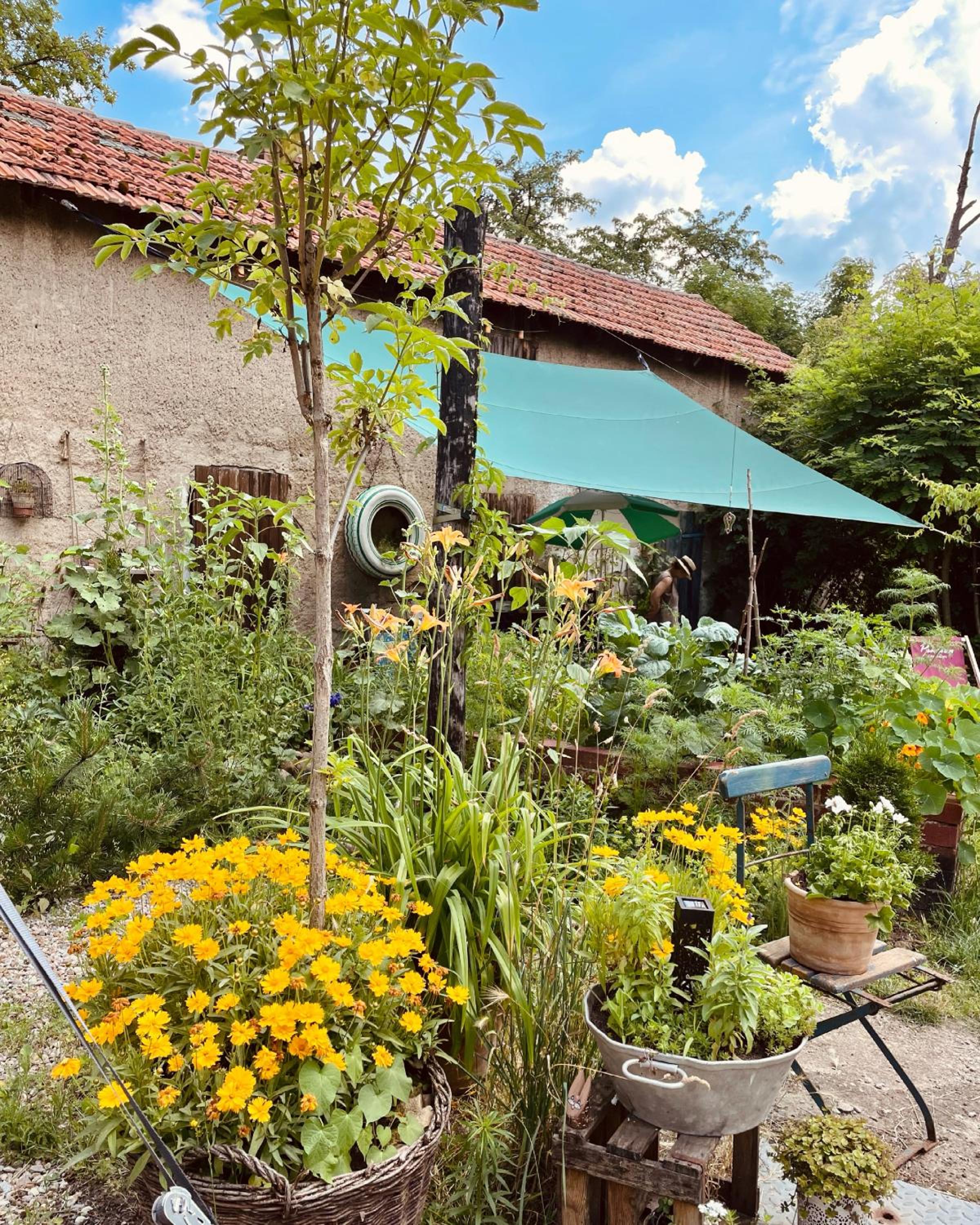 Pension Kirschberg