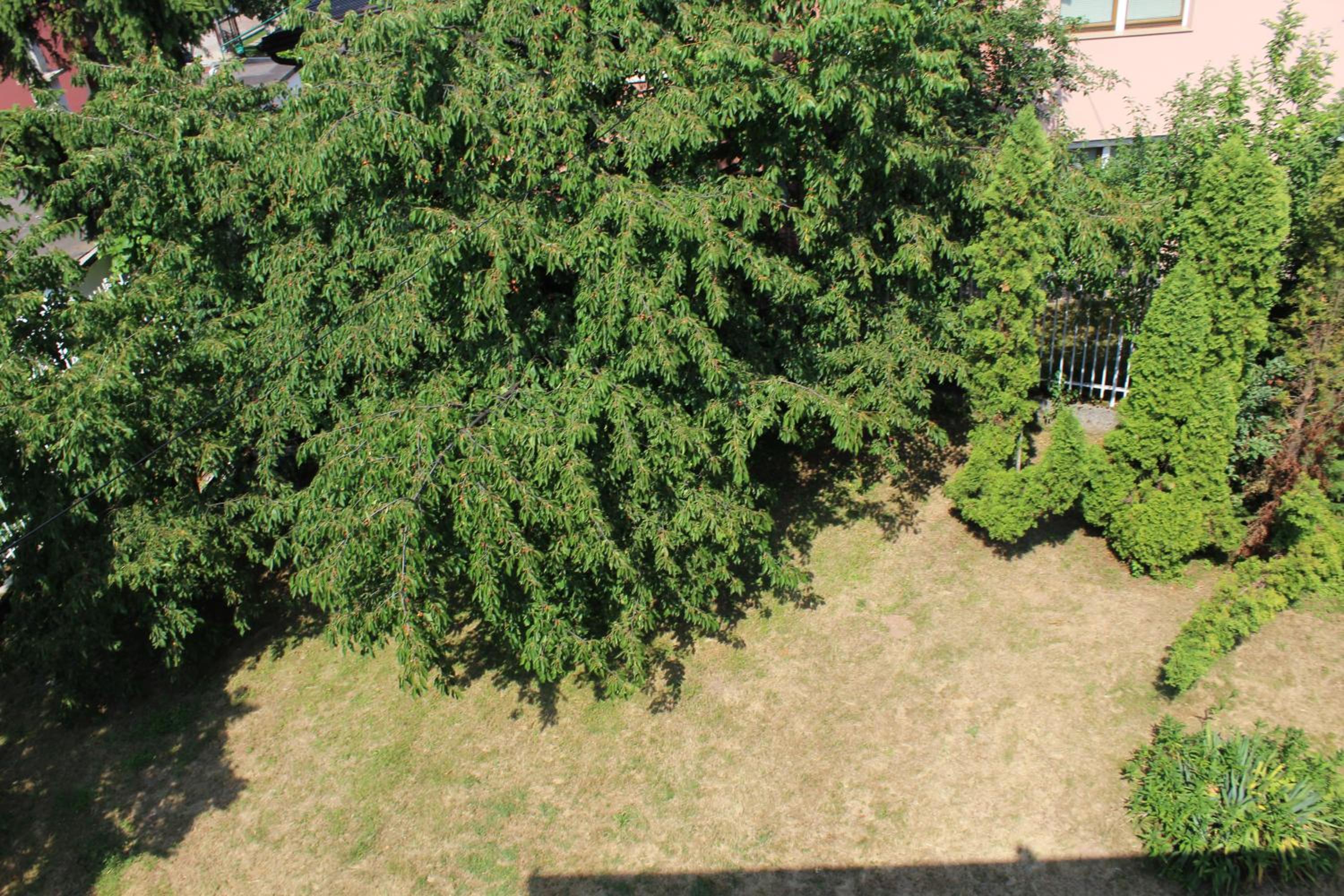 Villa Čengić