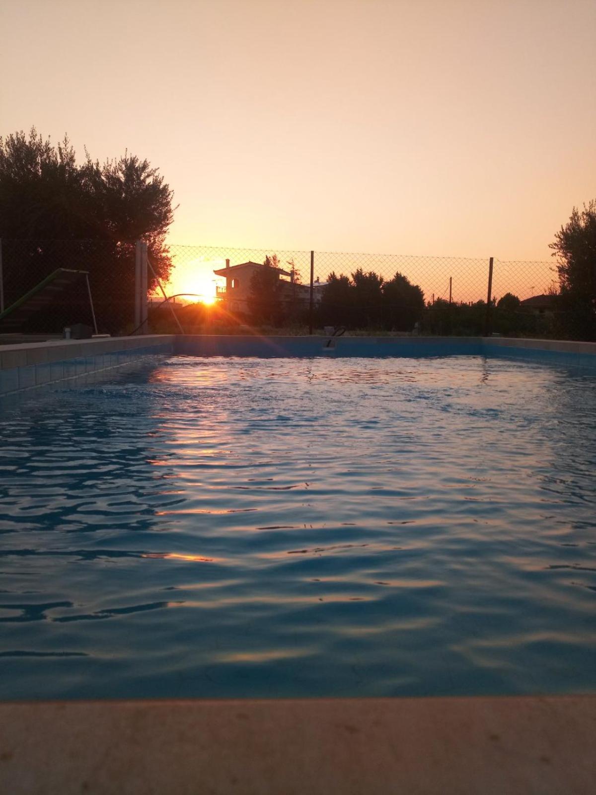 Holiday home next to orange tree orchard view 3