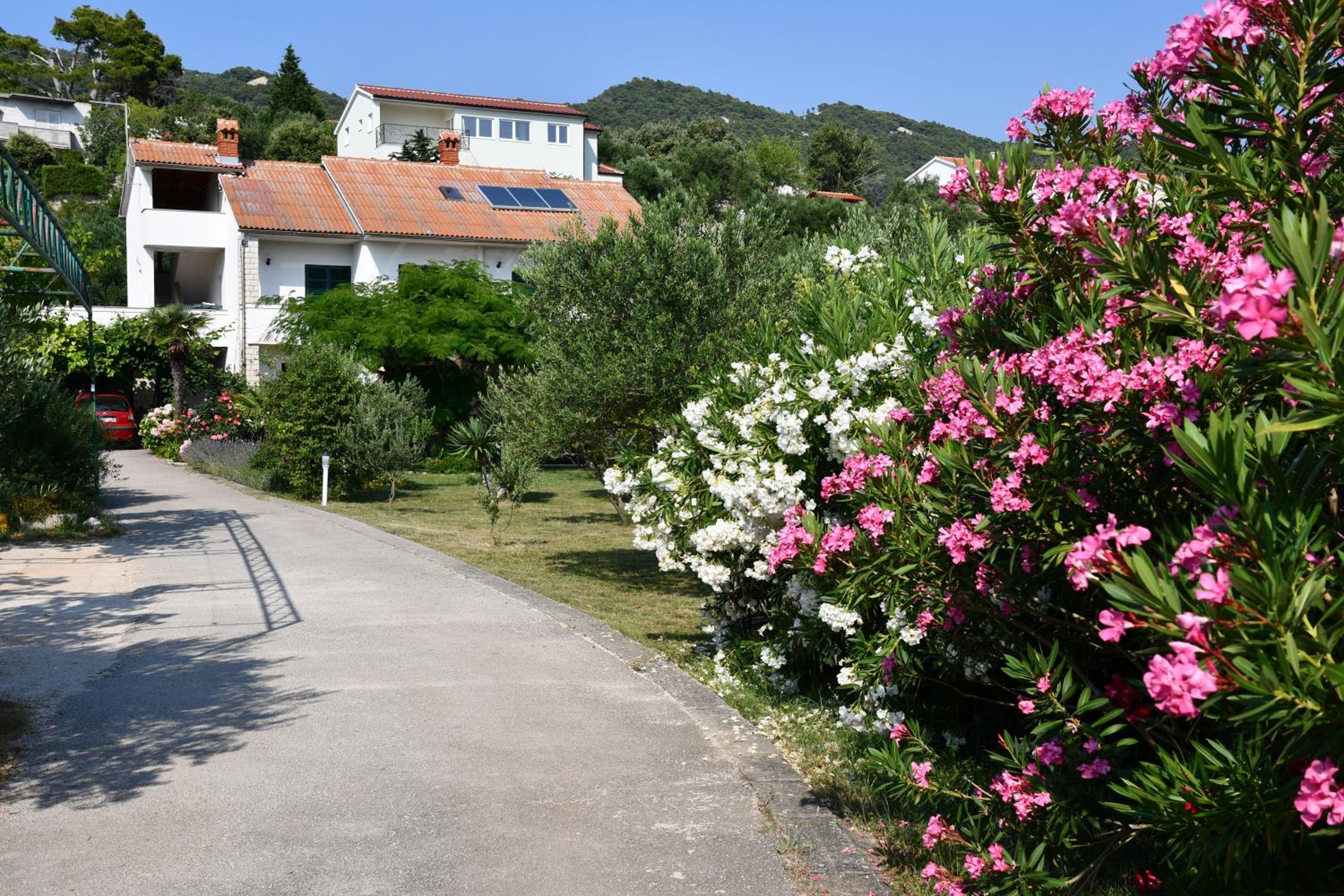 Apartmani Zdenka 1 view 3