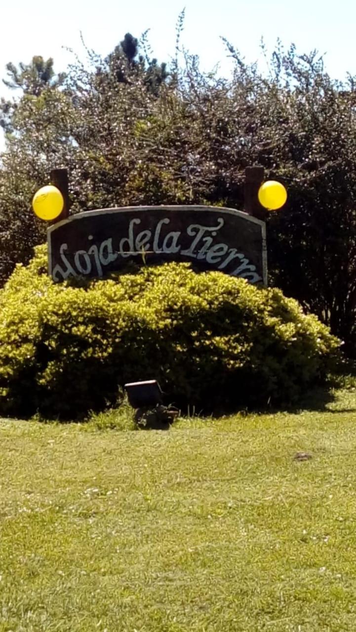 Cabañas Hoja de la Tierra