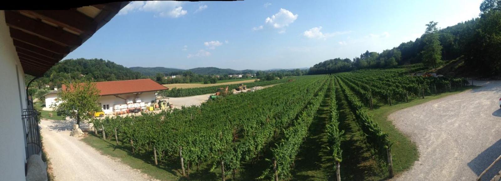 Borgo di Corte - alloggio agrituristico