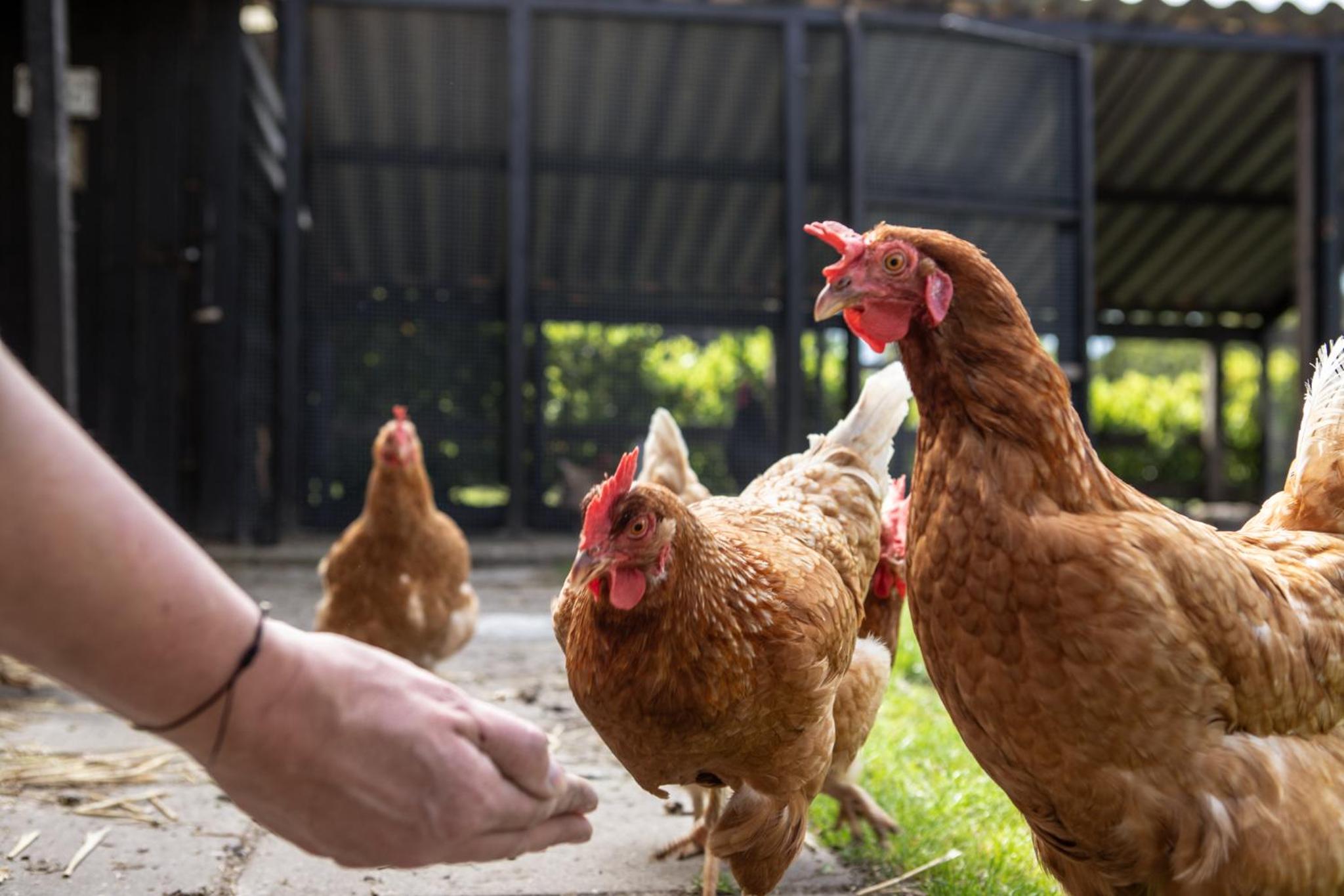 Photo 7