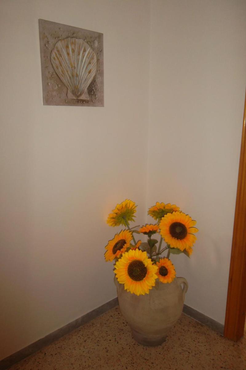 maison jolie photo 4