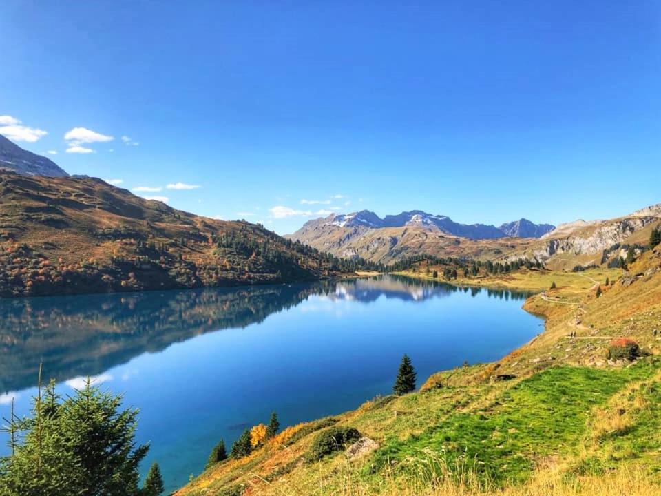 Triftblick