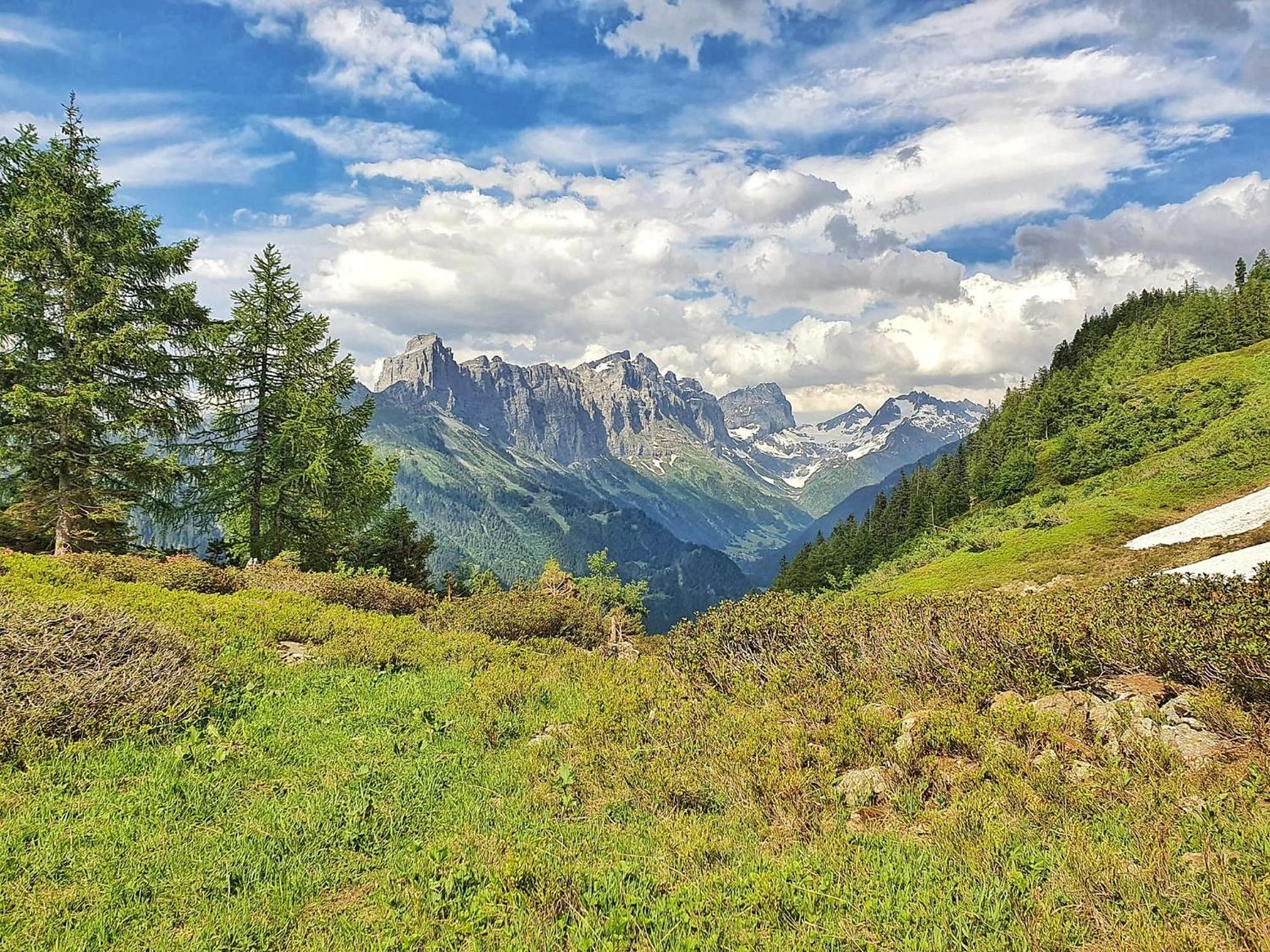 Triftblick