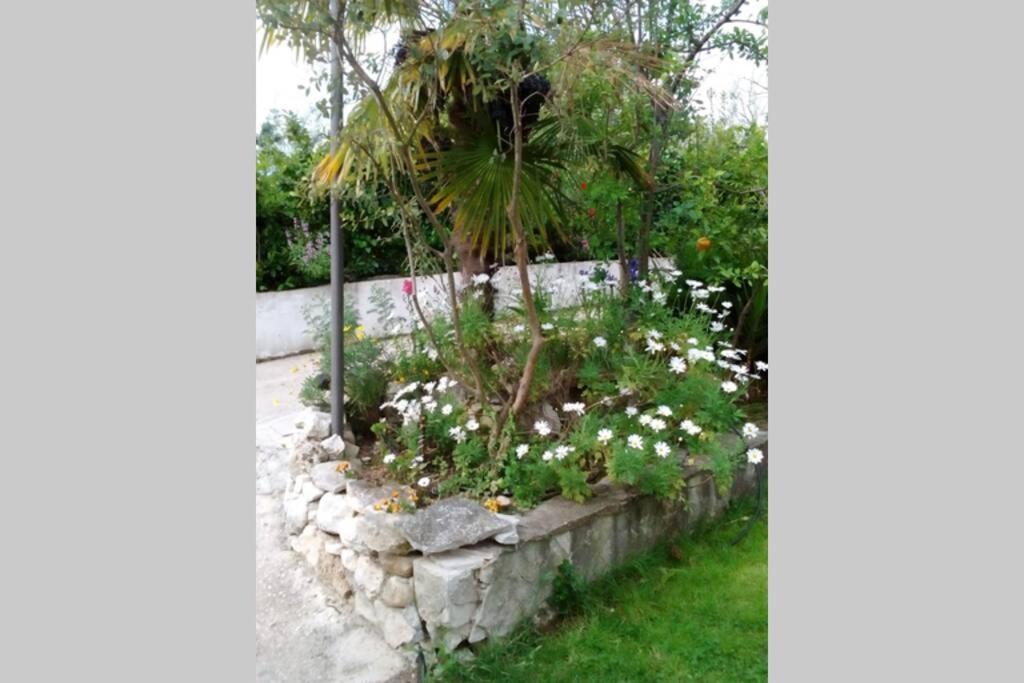 Residenza Flores photo 5