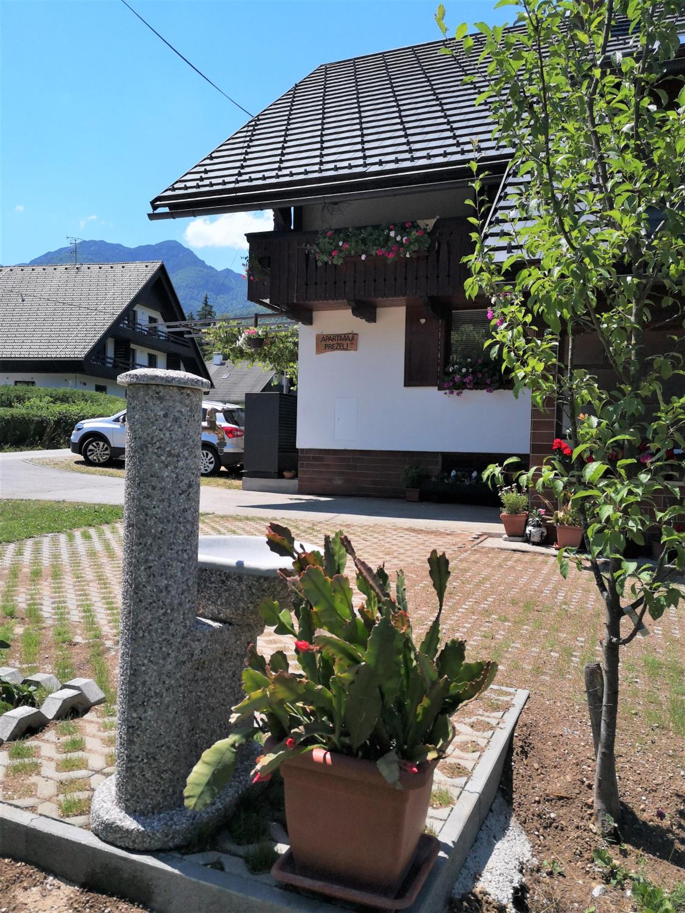 Apartmaji Preželj view 4