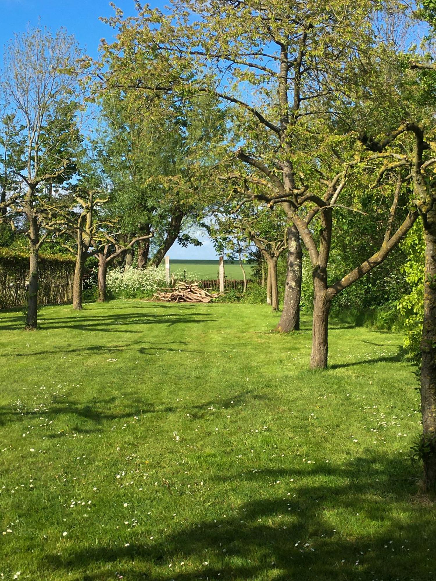 Photo 36