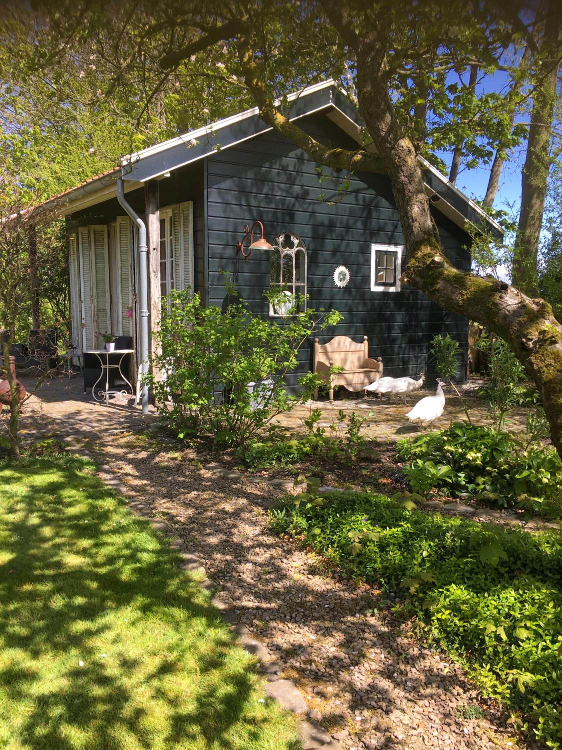 Vakantiehuizen Kats Zeeland De Zwaluwenhof view 4