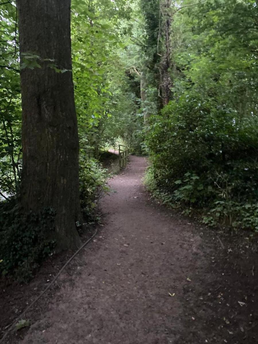 Photo 38