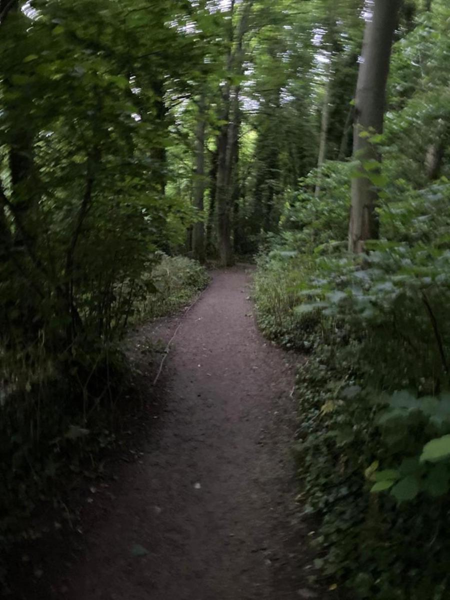 Photo 42