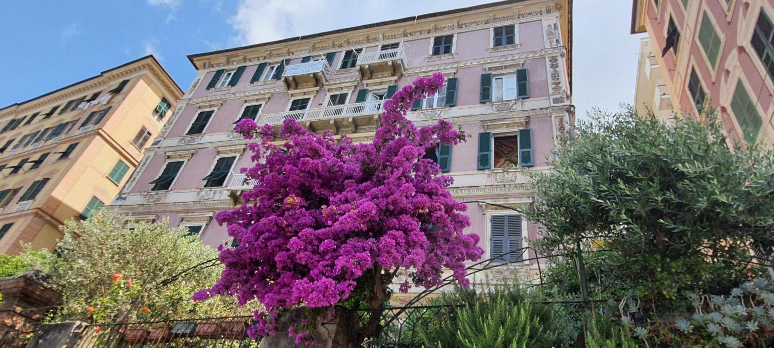 Palazzo degli Armatori appartamento storico photo 2