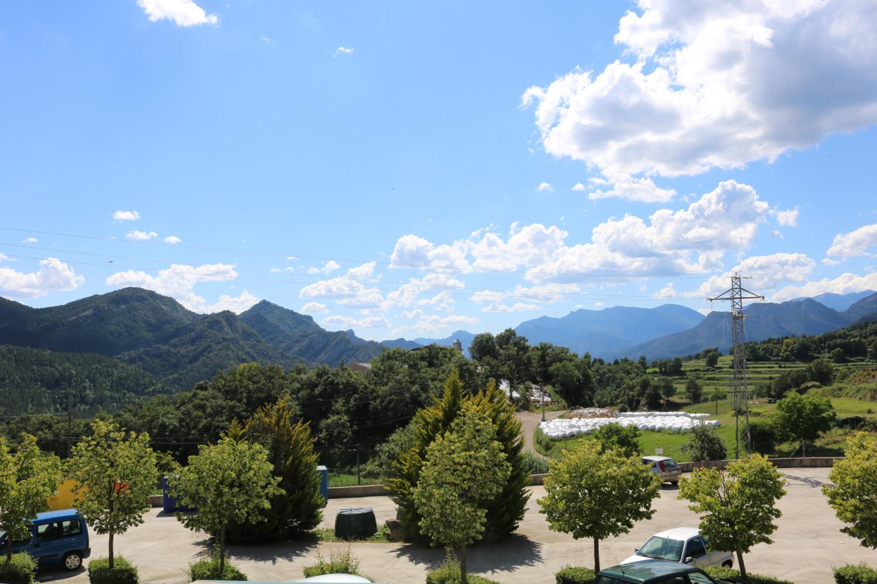 Cal Tut view 3