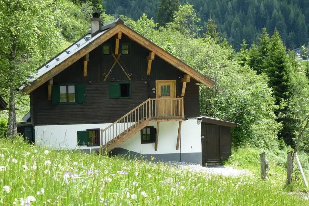 Ski- und Sommer-Chalet für 10 Personen in Dienten am Hochkönig