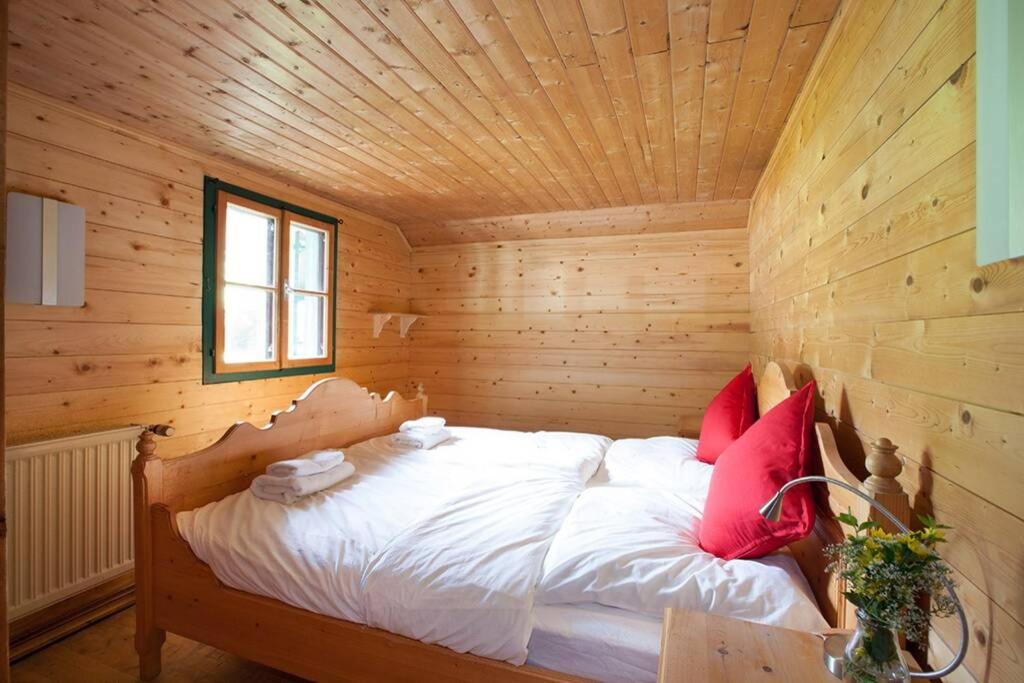 Ski- und Sommer-Chalet für 10 Personen in Dienten am Hochkönig