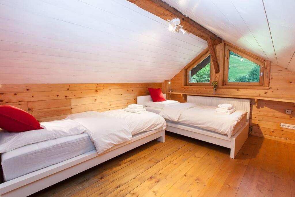 Ski- und Sommer-Chalet für 10 Personen in Dienten am Hochkönig