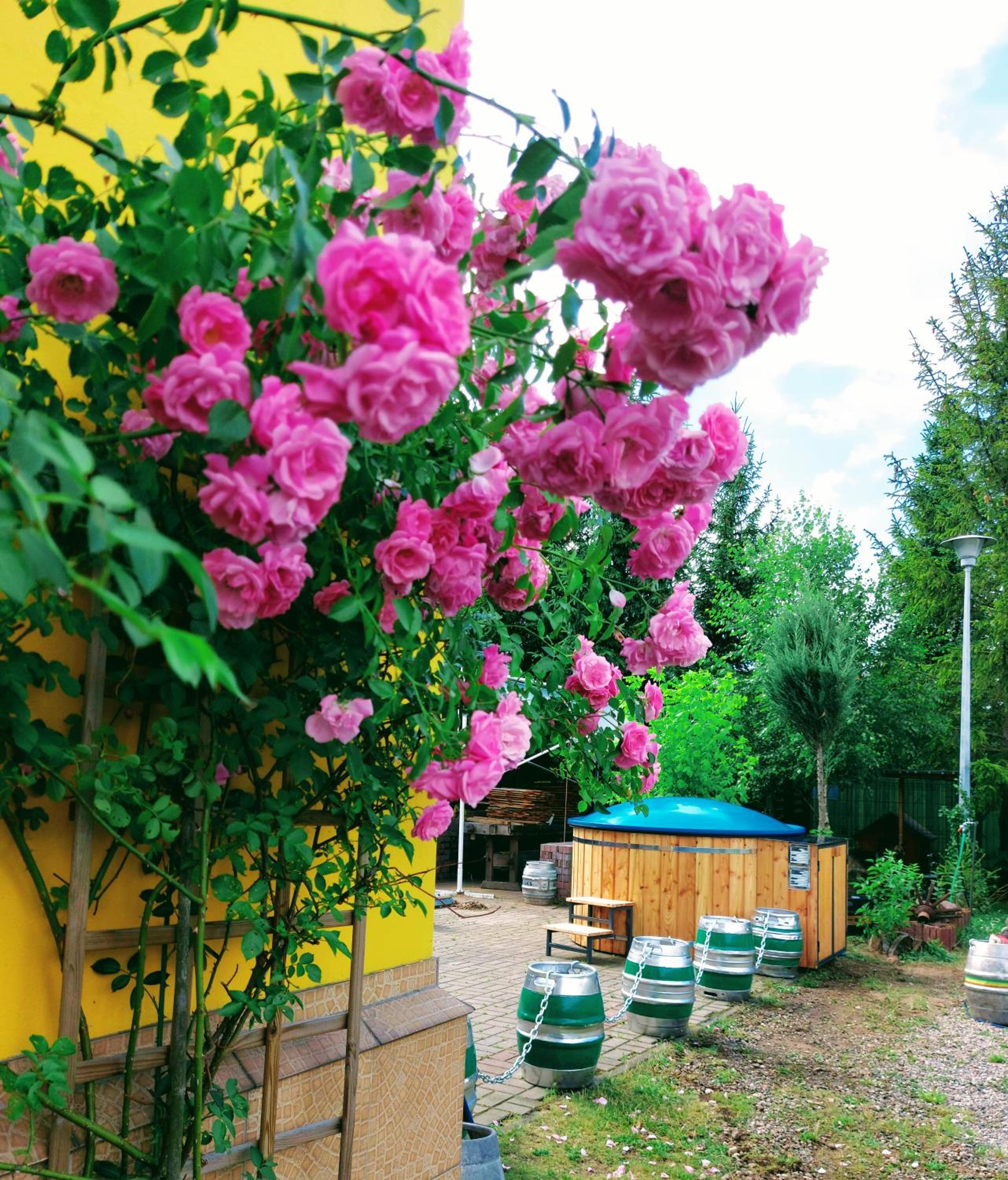 Photo 41