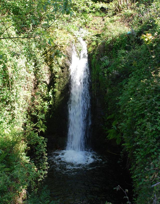 Photo 34