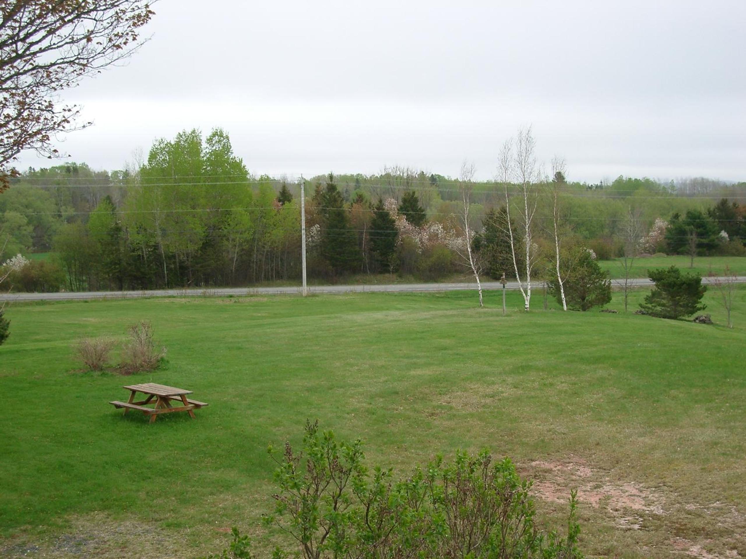 Forest Haven Inn