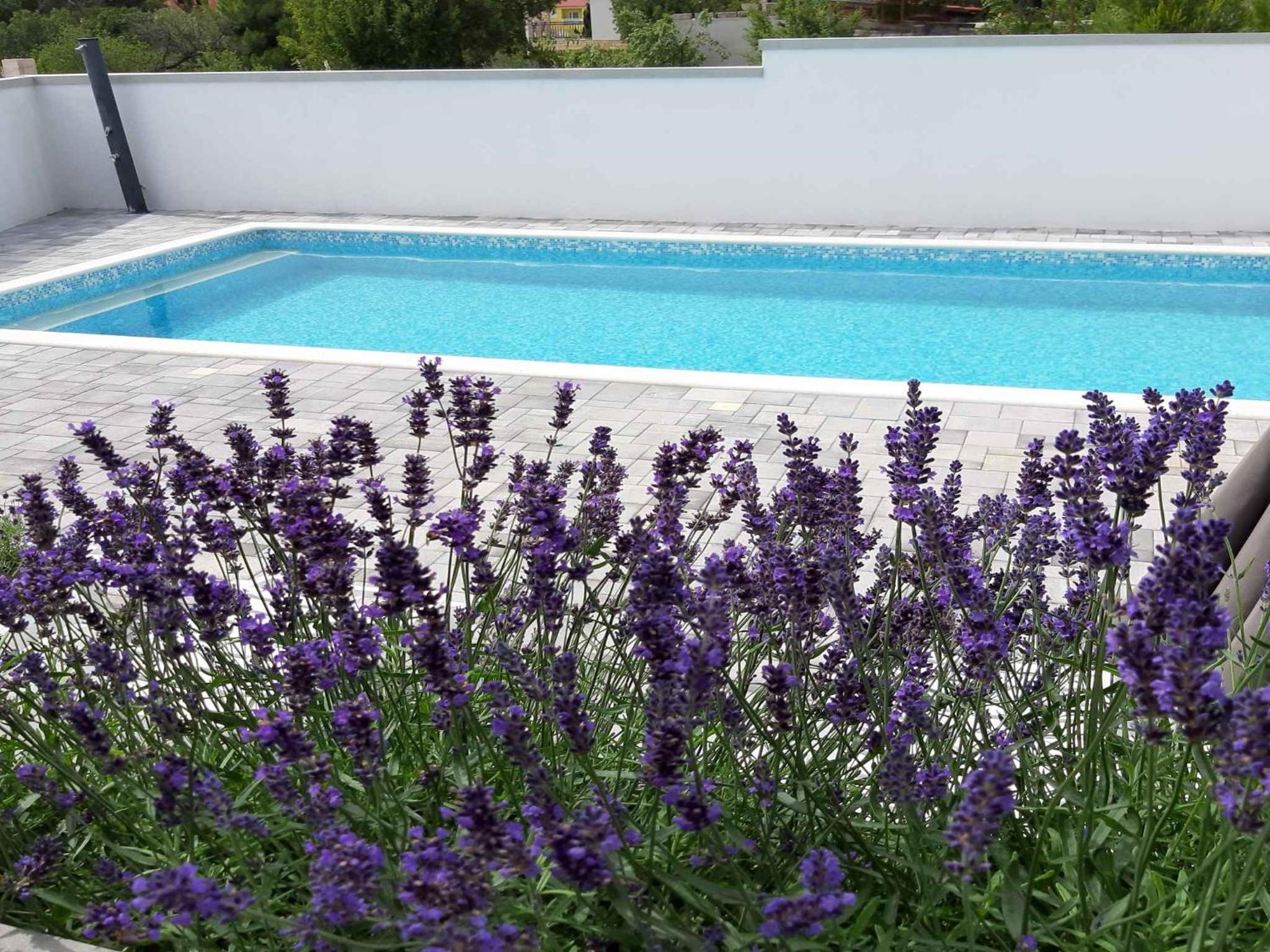 Apartments in Starigrad-Paklenica 41220 view 5