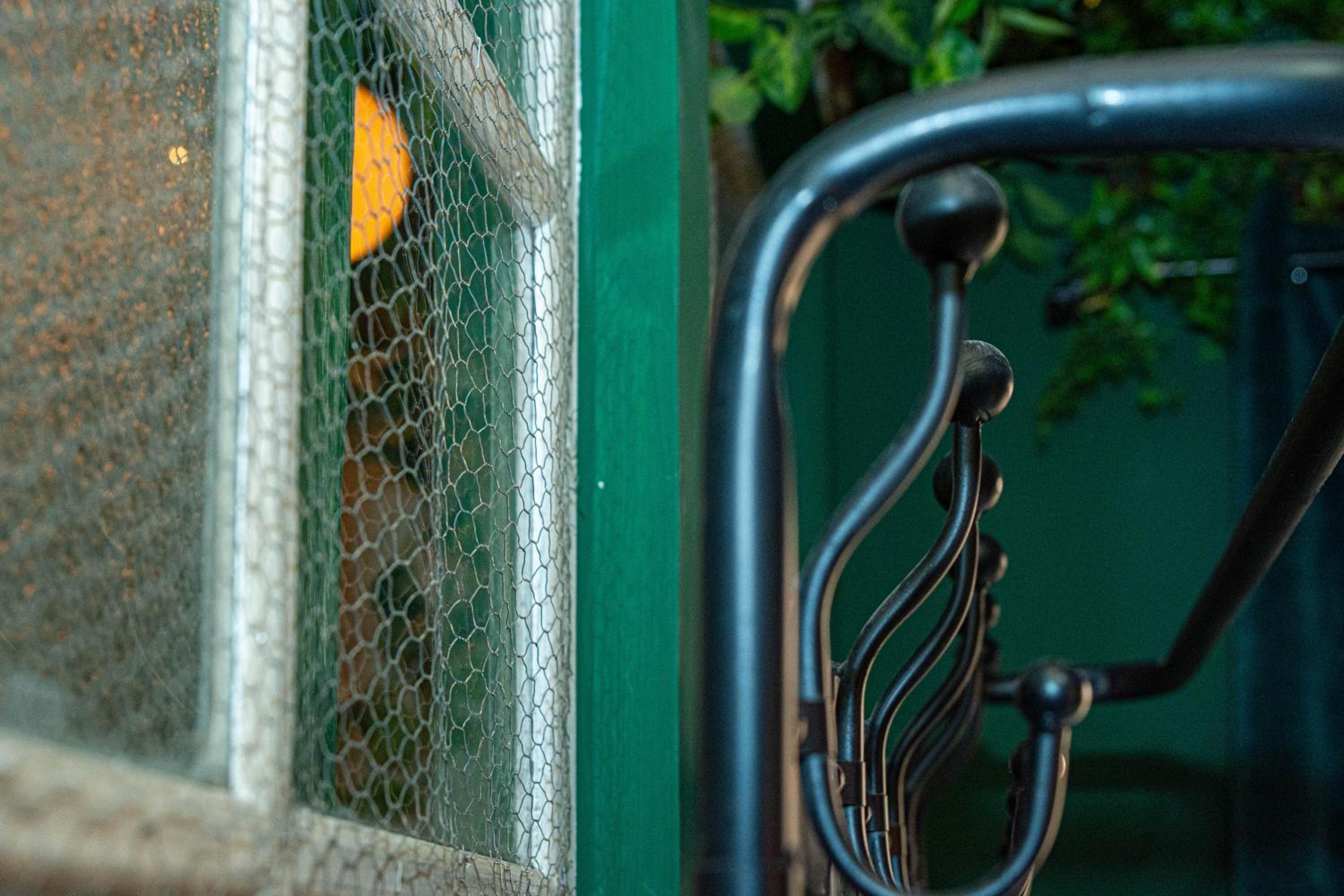 Apartamentos CV Correo Viejo de Granada view 3