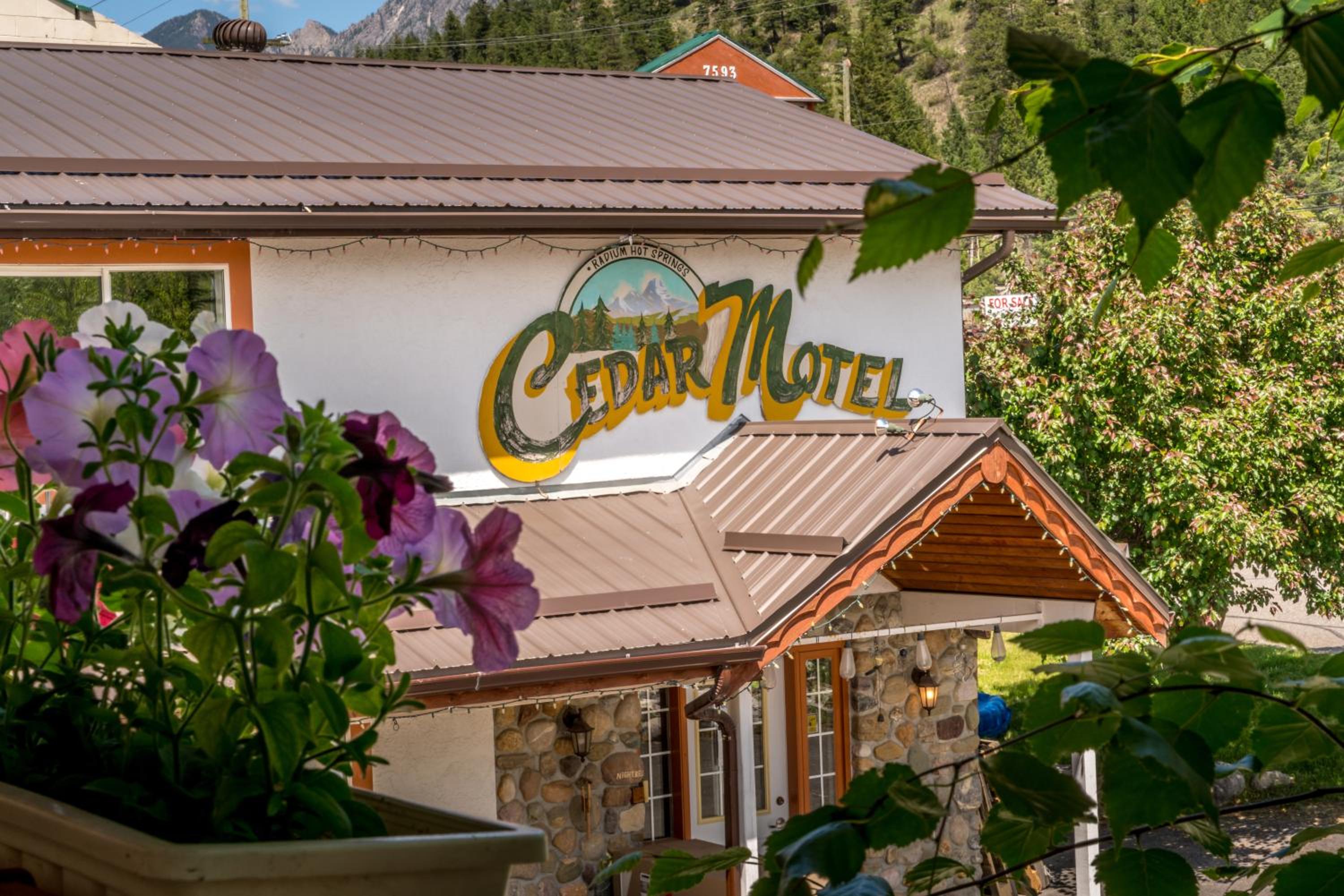 Hotel Cedar Motel - Image 1