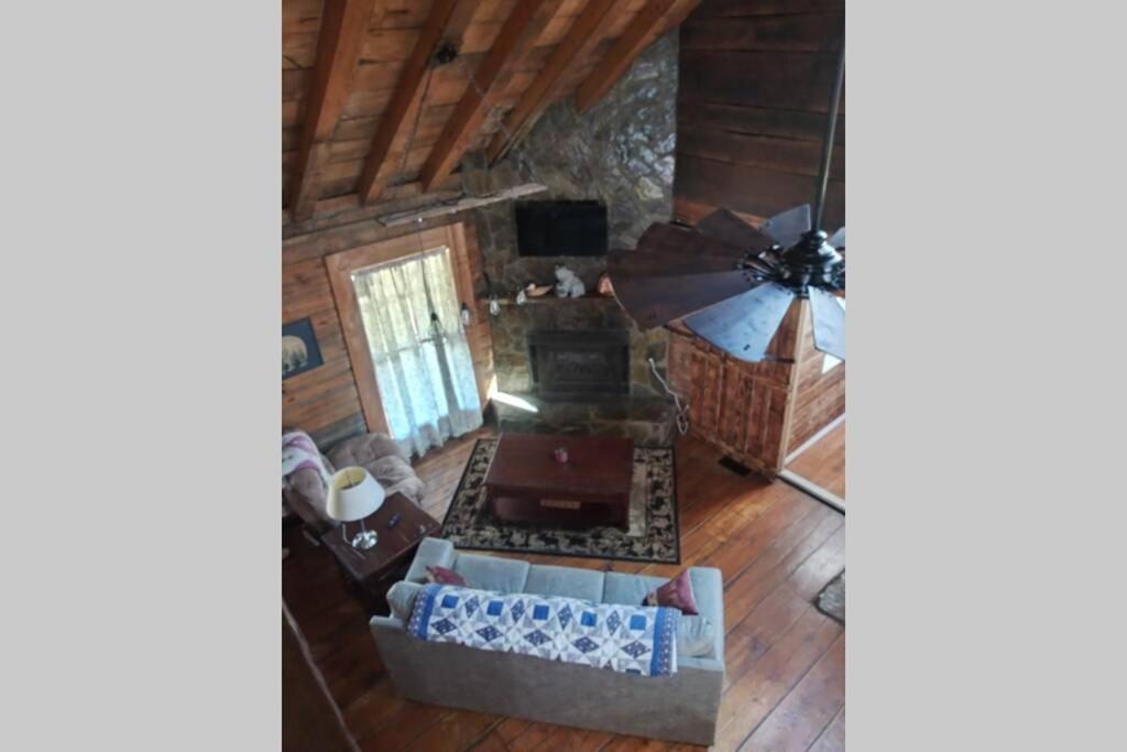 Photo 12