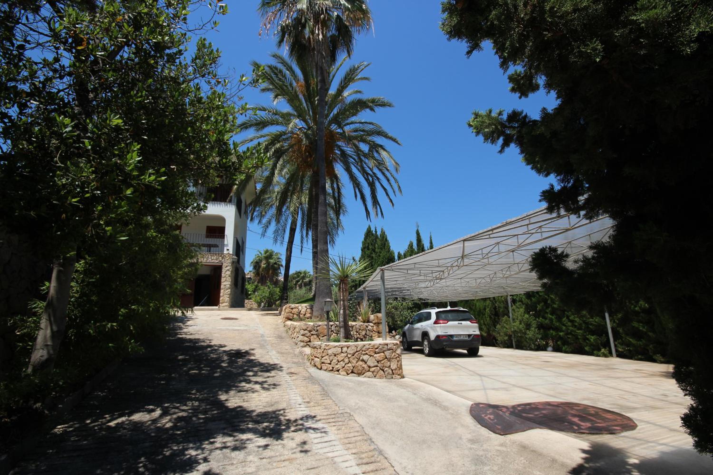 Photo 26