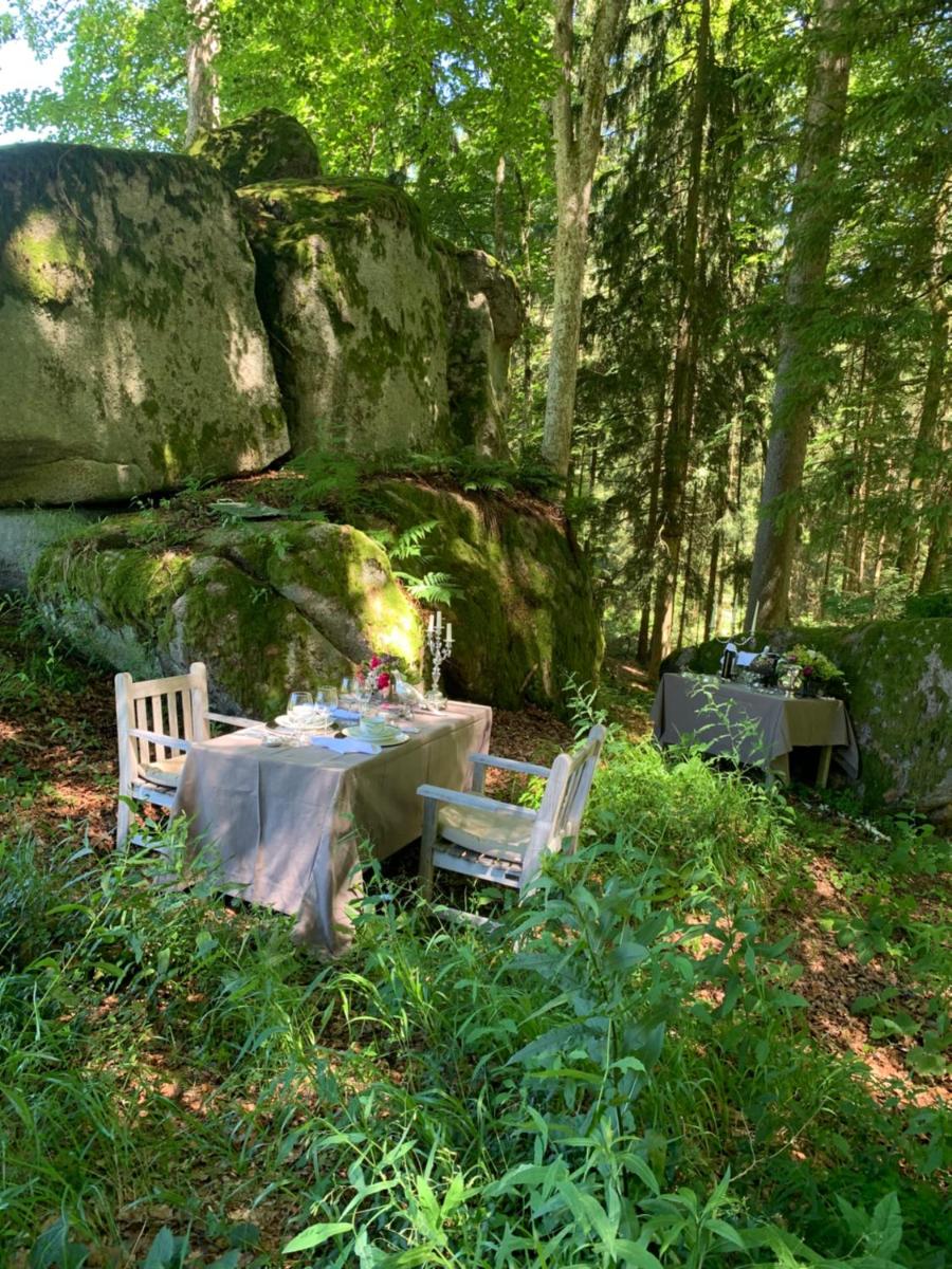 Das Forsthaus Langschlägerwald view 4