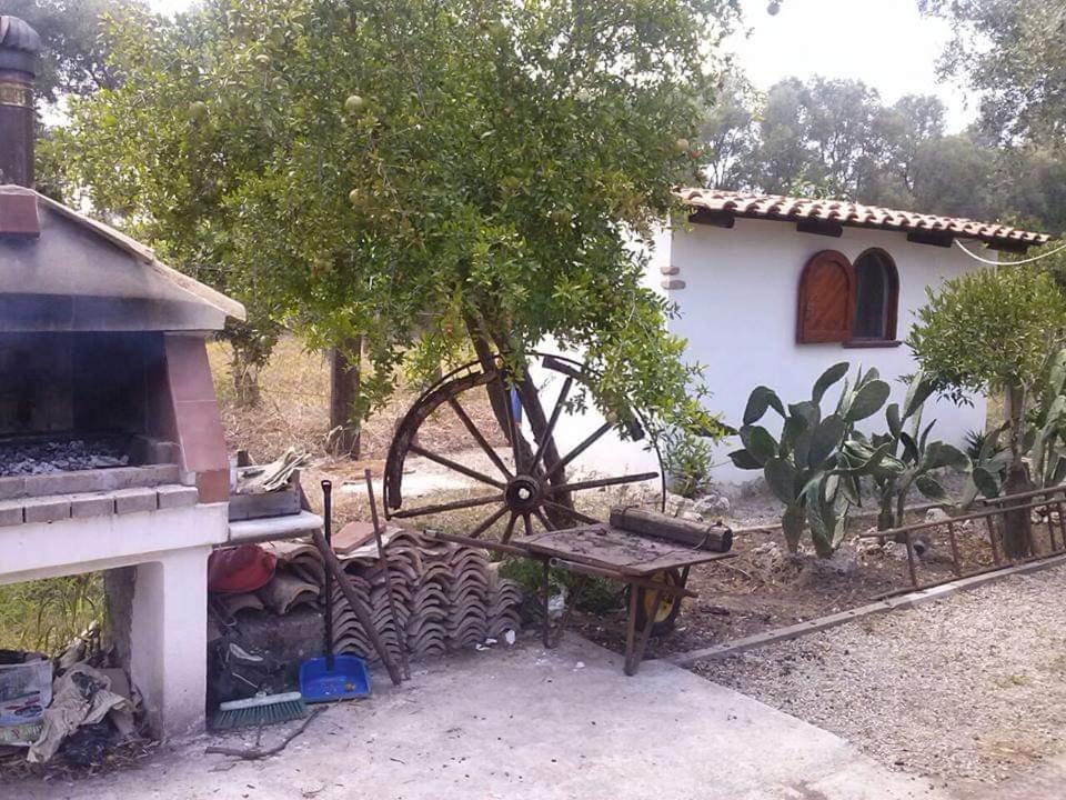 Photo 37