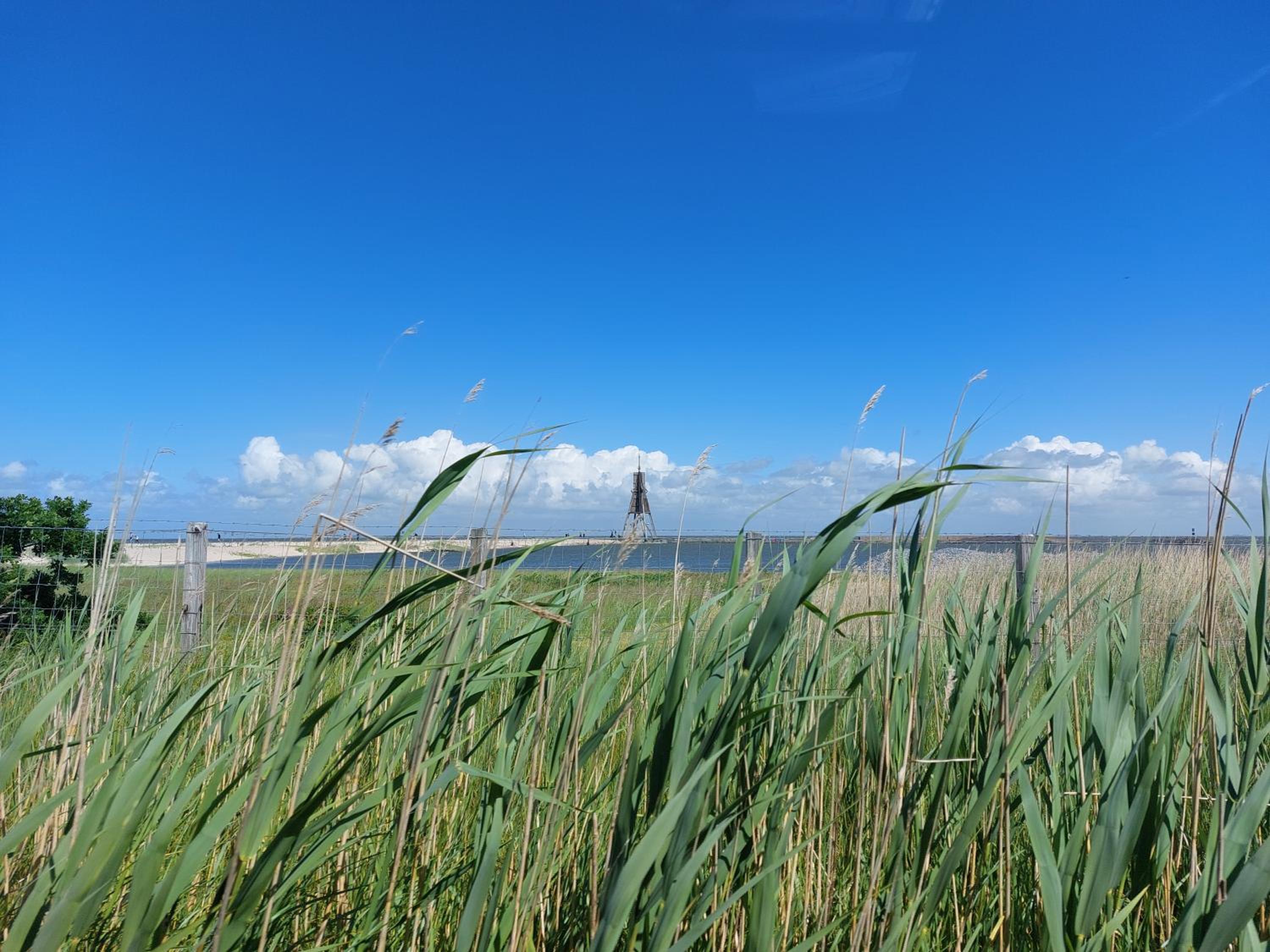 Ferienwohnungen Auf der Düne