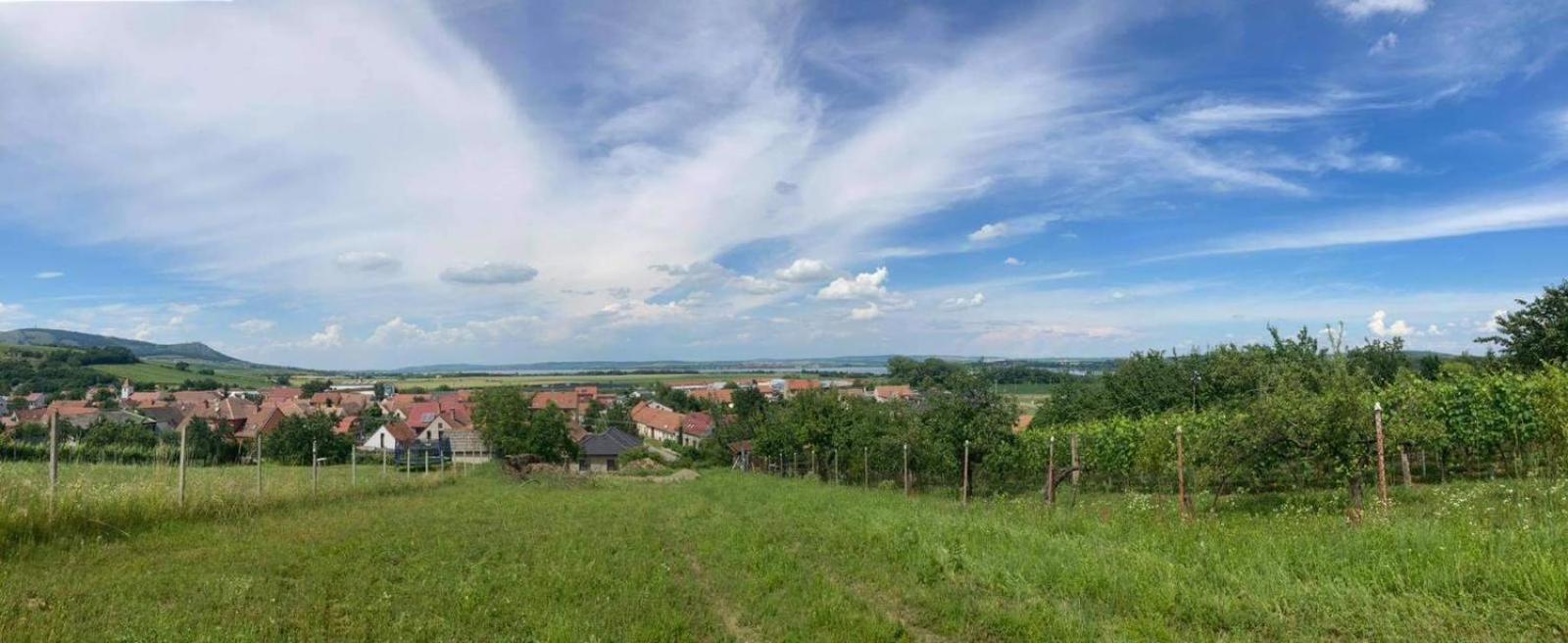 Prázdninový dům na Pálavě s vinným sklepem