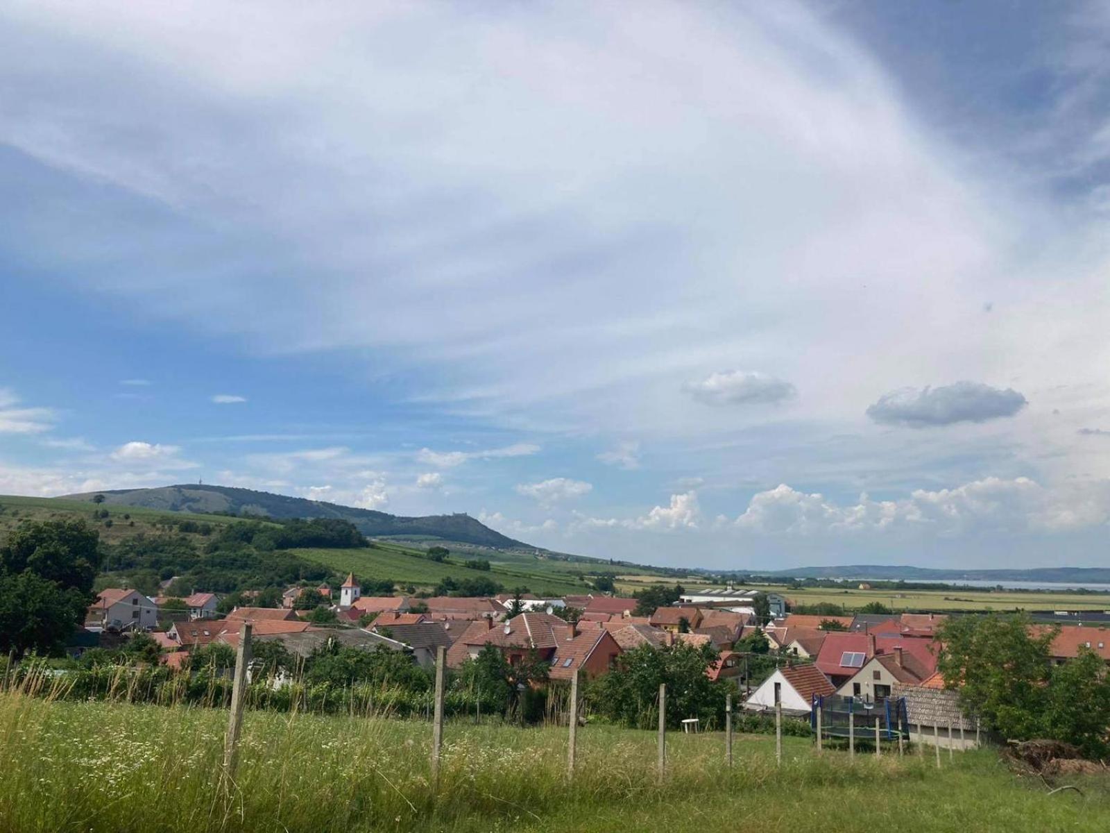 Prázdninový dům na Pálavě s vinným sklepem
