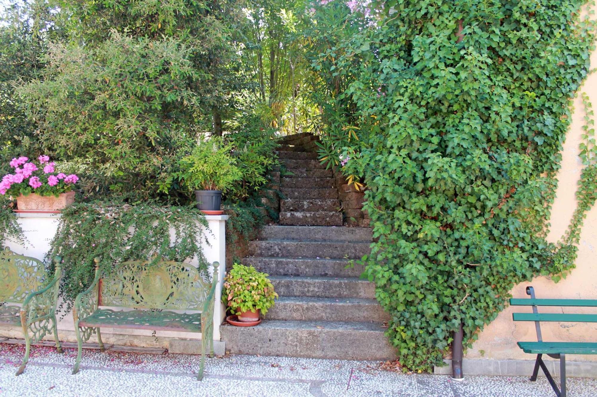 Photo 35