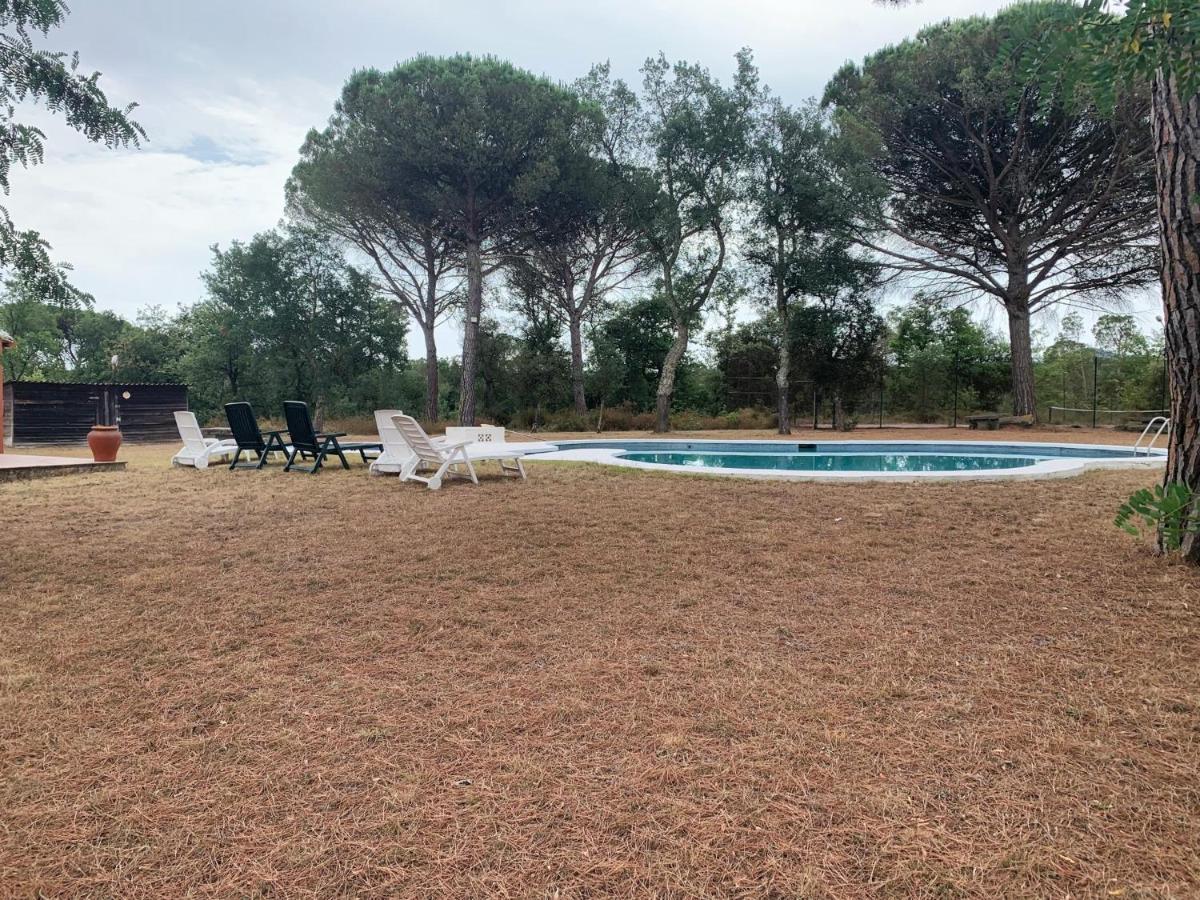 Finca els pins photo 3