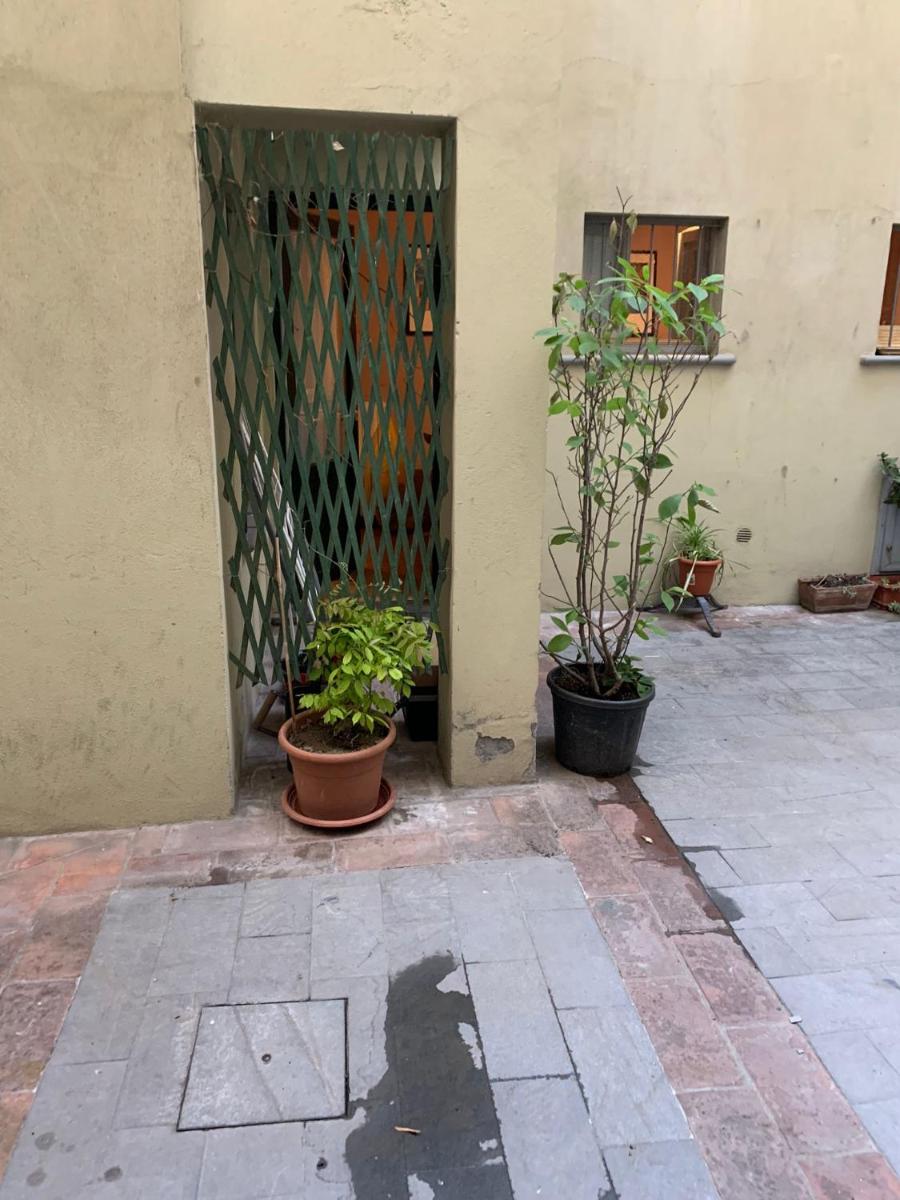 La casa di Lalla in pieno centro. photo 3
