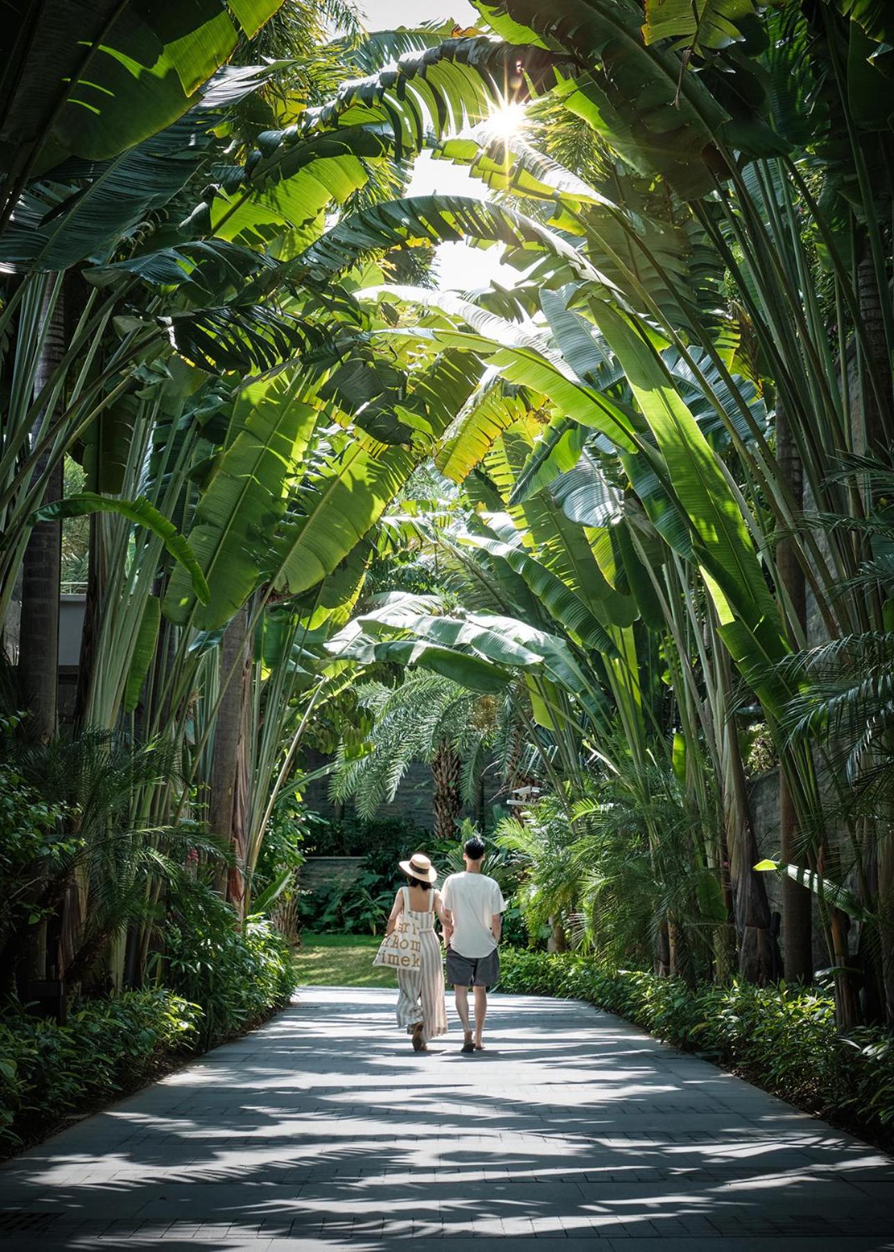 Park Hyatt Sanya Sunny Bay Resort