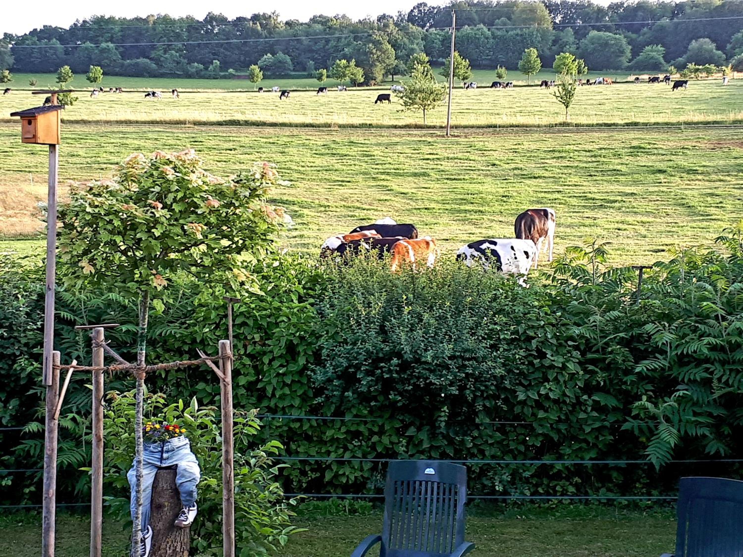 4 Sterne - Fewo zur Fliegerbank- in der Rhon - Property Image 17