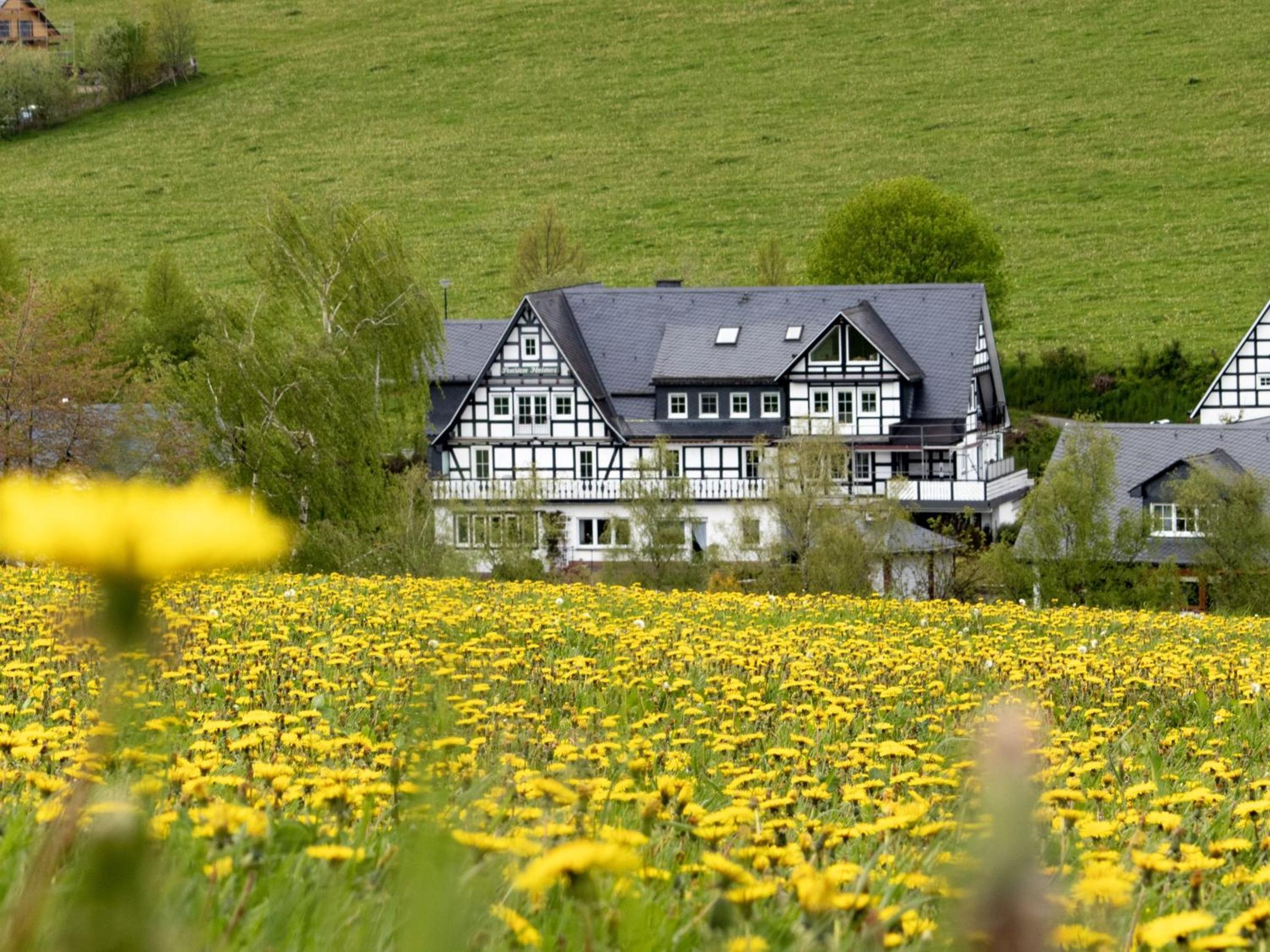 Rübenkämpers Ferienwohnungen view 2